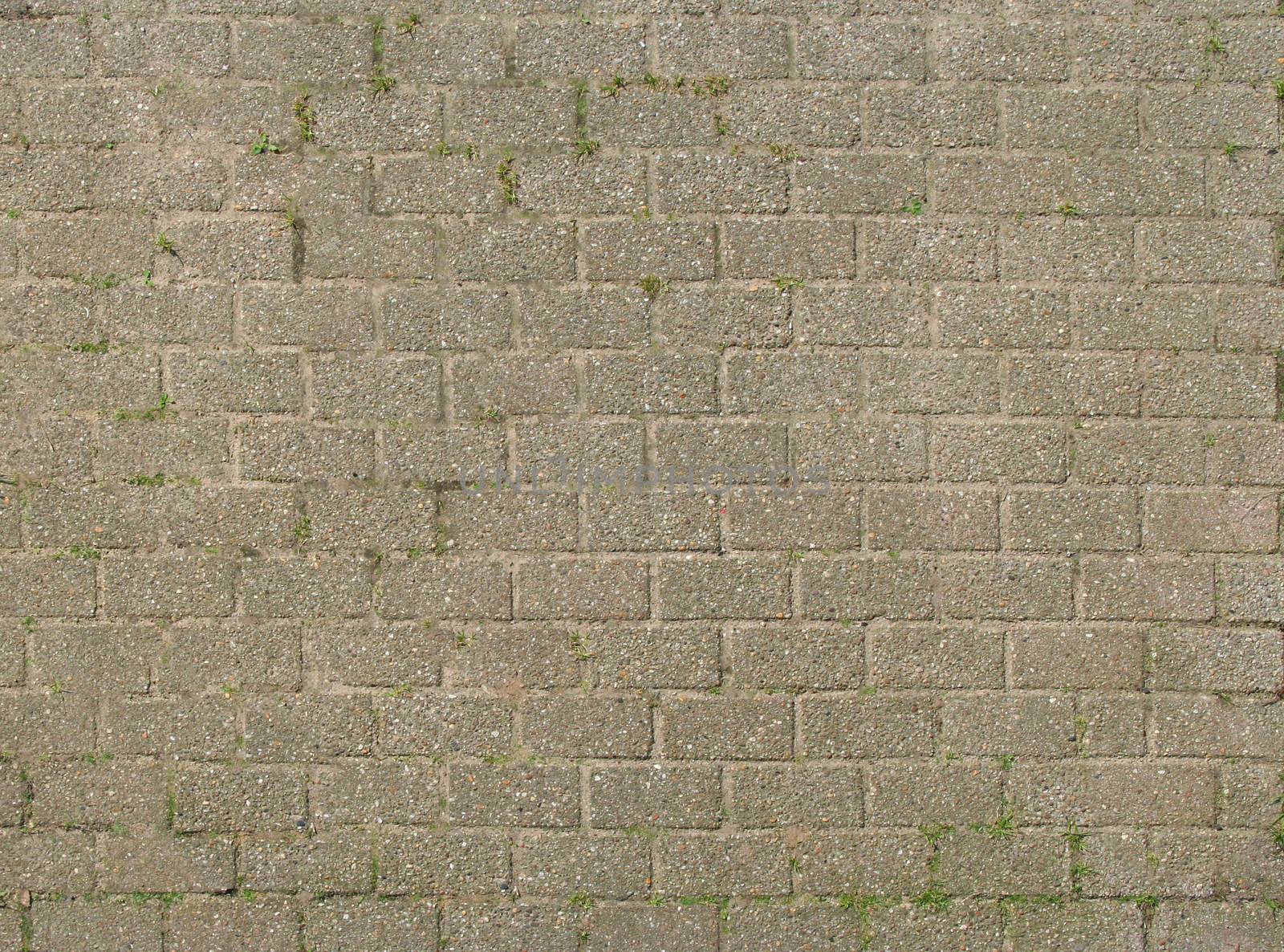 The road paved with stone sprouted grass.Texture or background.