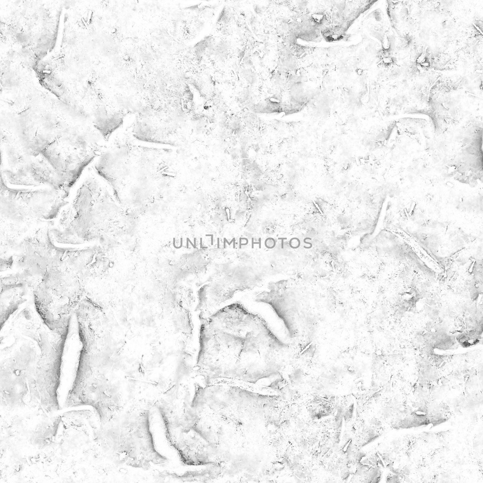 Microorganisms and bacteria under strong microscope magnification