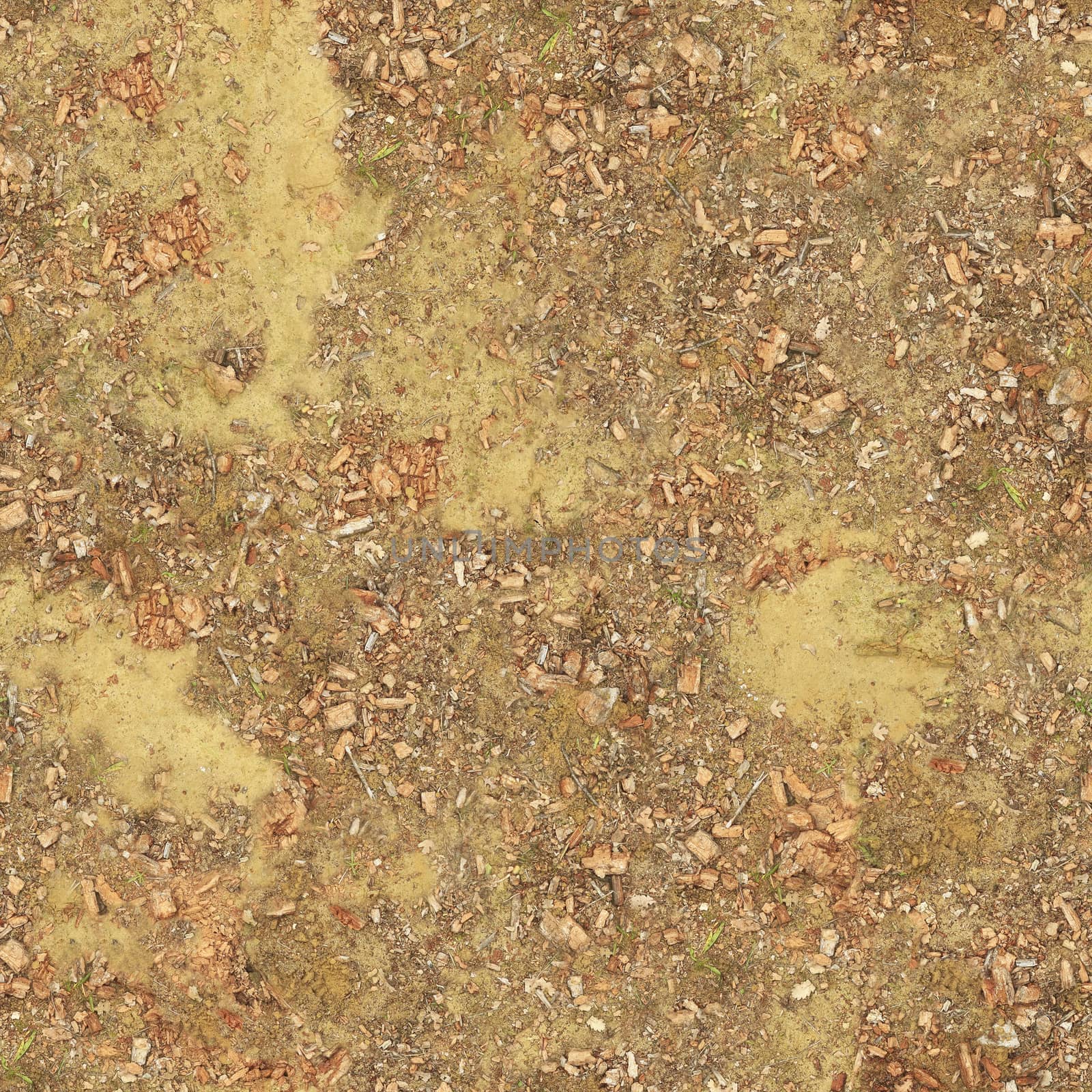 Sand under the feet of Golden color with irregularities and stones.Texture or background.