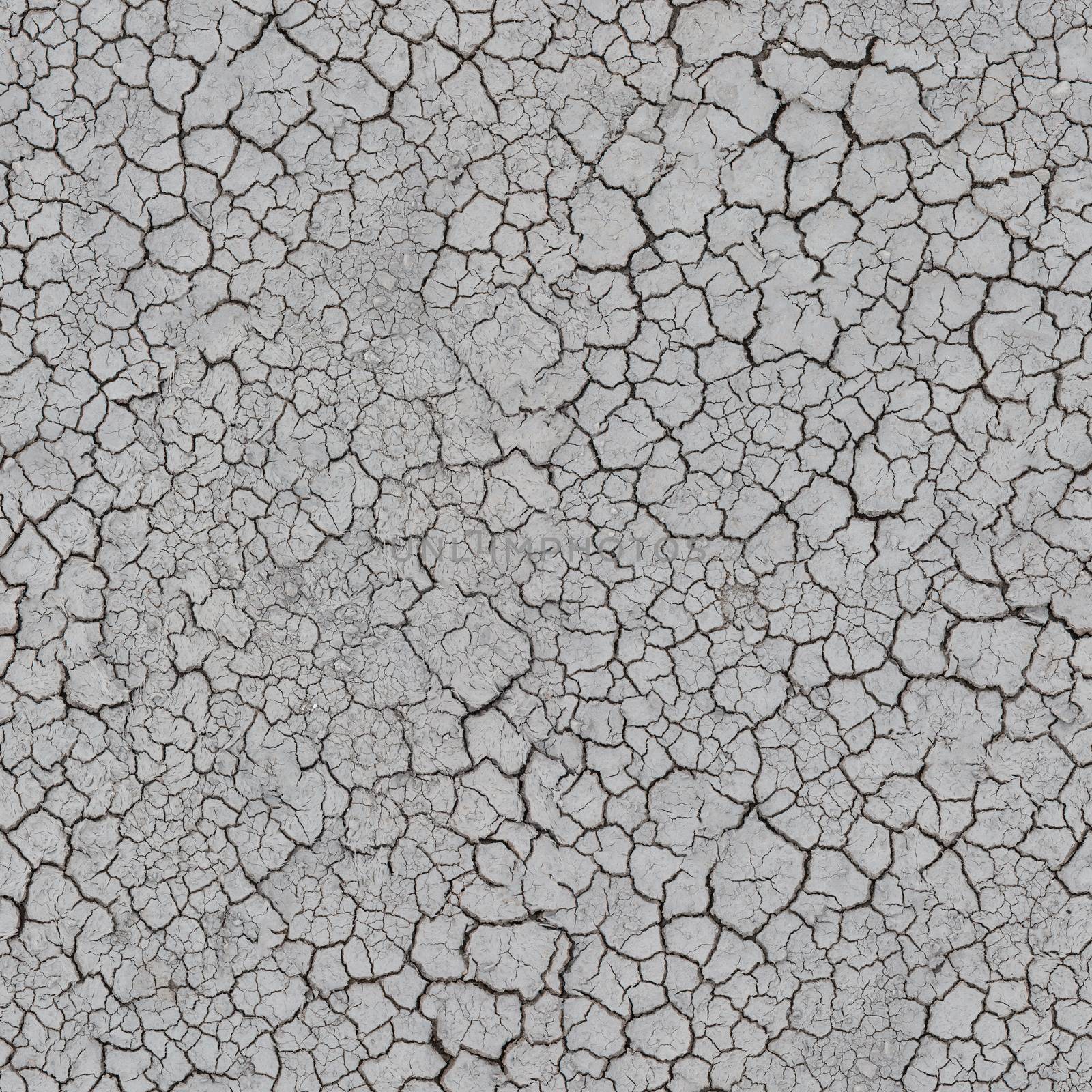 Dead soil in dry hot season with cracked surface .Background or texture