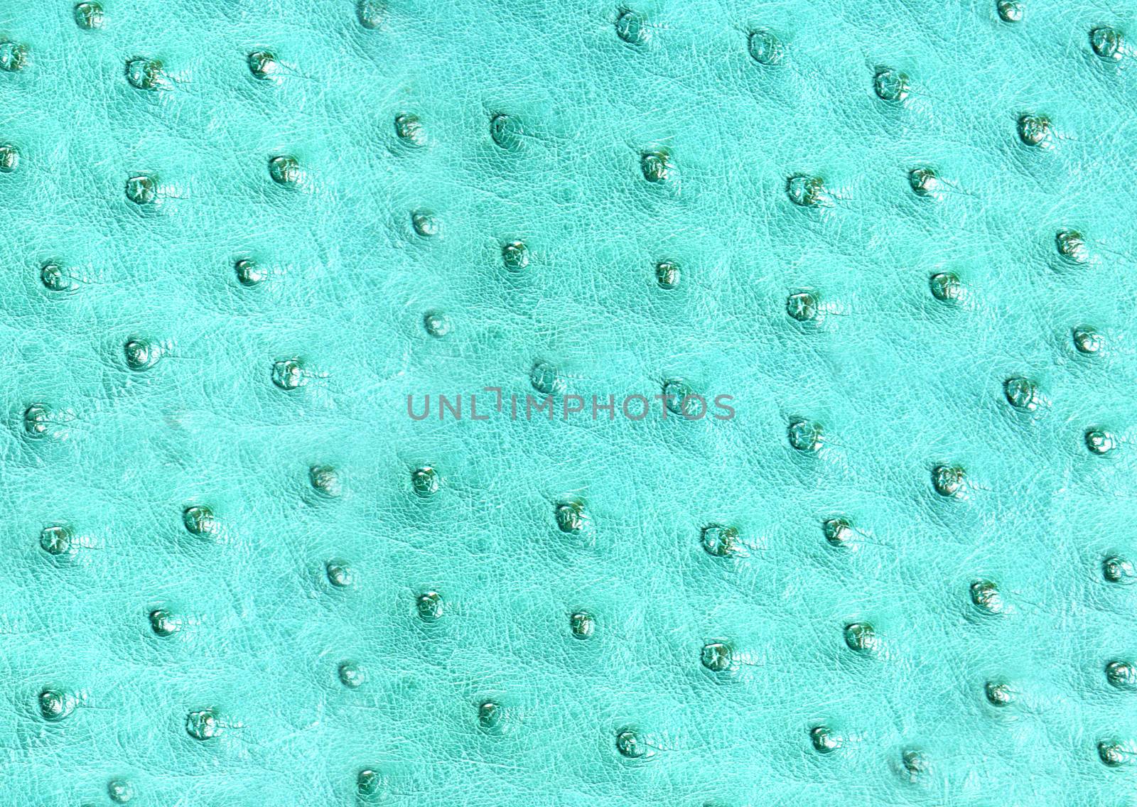 The upholstery of the chair back is made of genuine leather of emerald color.Texture or background