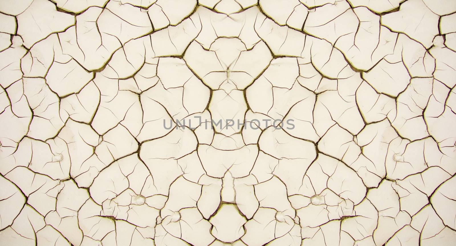 The texture of the dried paint numerous cracks cream color