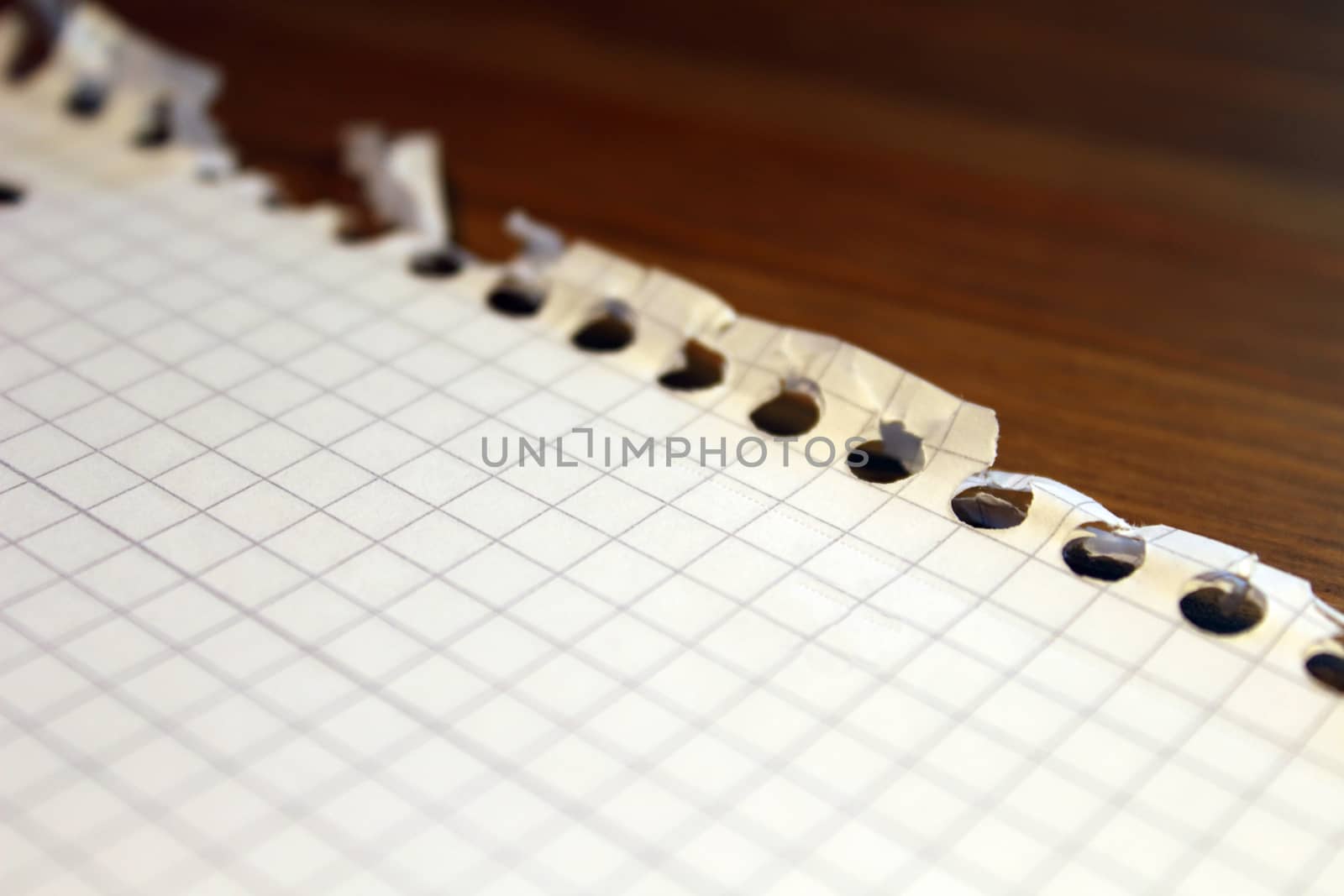 On the table is a sheet of white paper from a notebook for notes in a cage