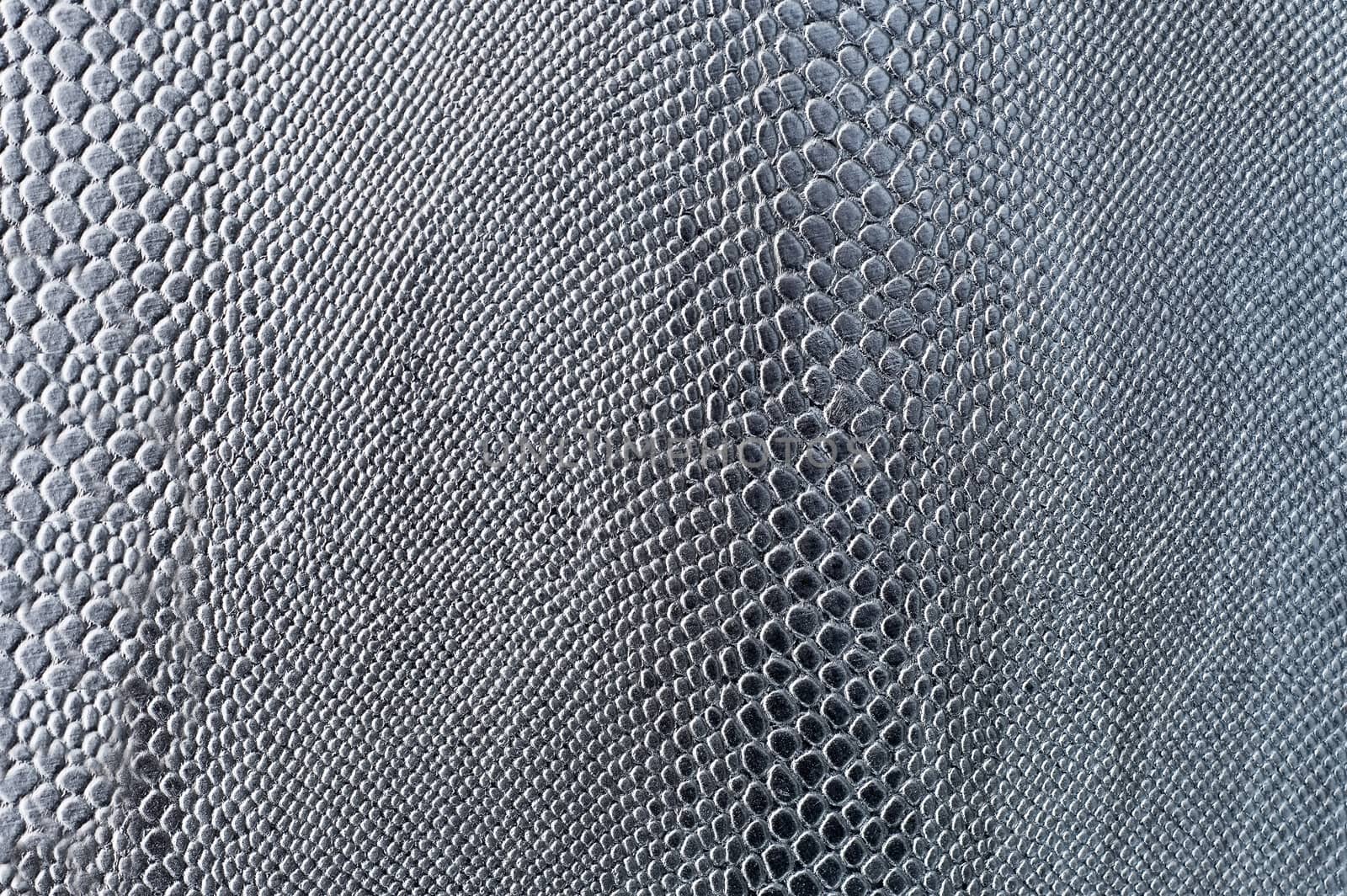 Smooth dark gray snake skin with a characteristic natural pattern