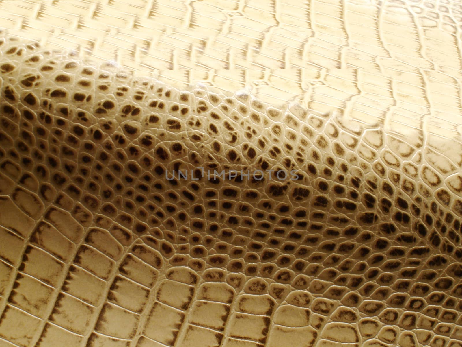 Smooth yellow snake skin with characteristic natural pattern
