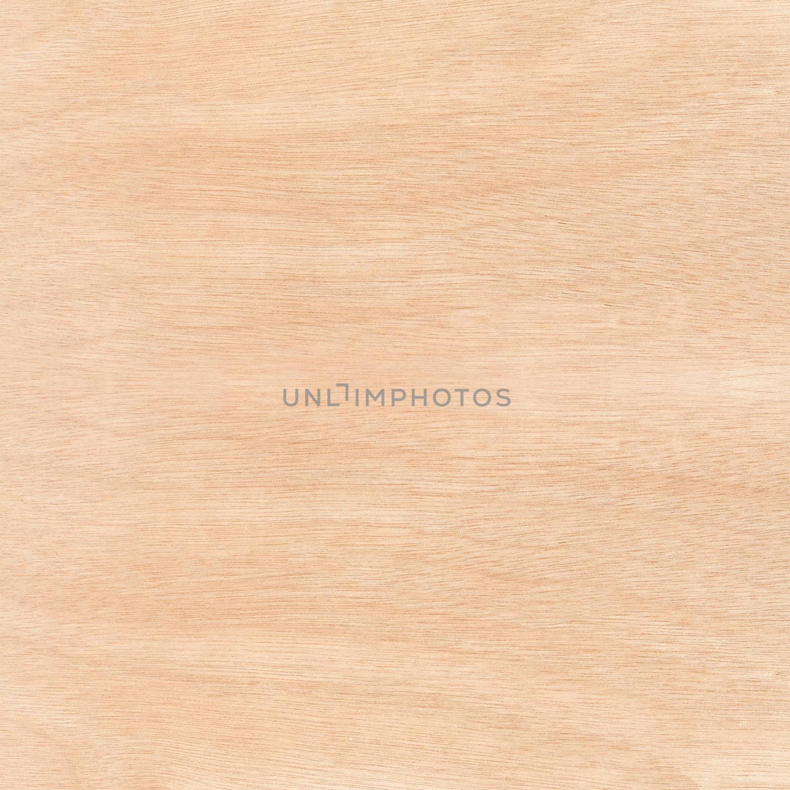 Wall tiles imitation wood light beige