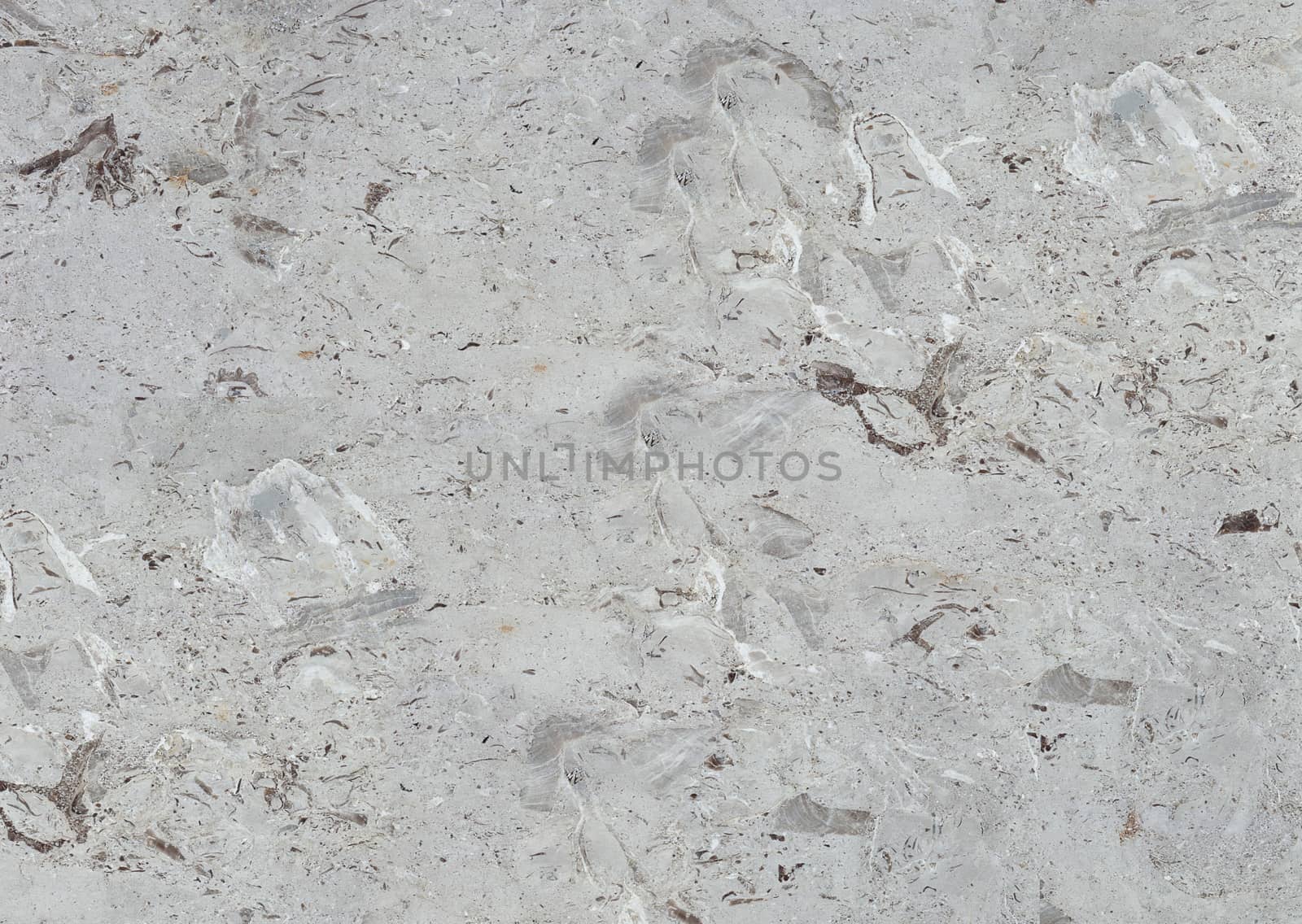 Textured smooth light grey marble with white streaks