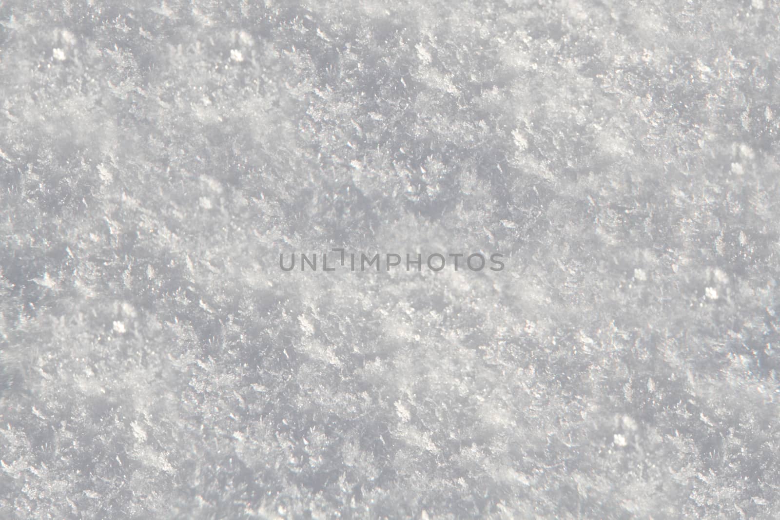 White snow close-up with a textured rough surface .Texture or background