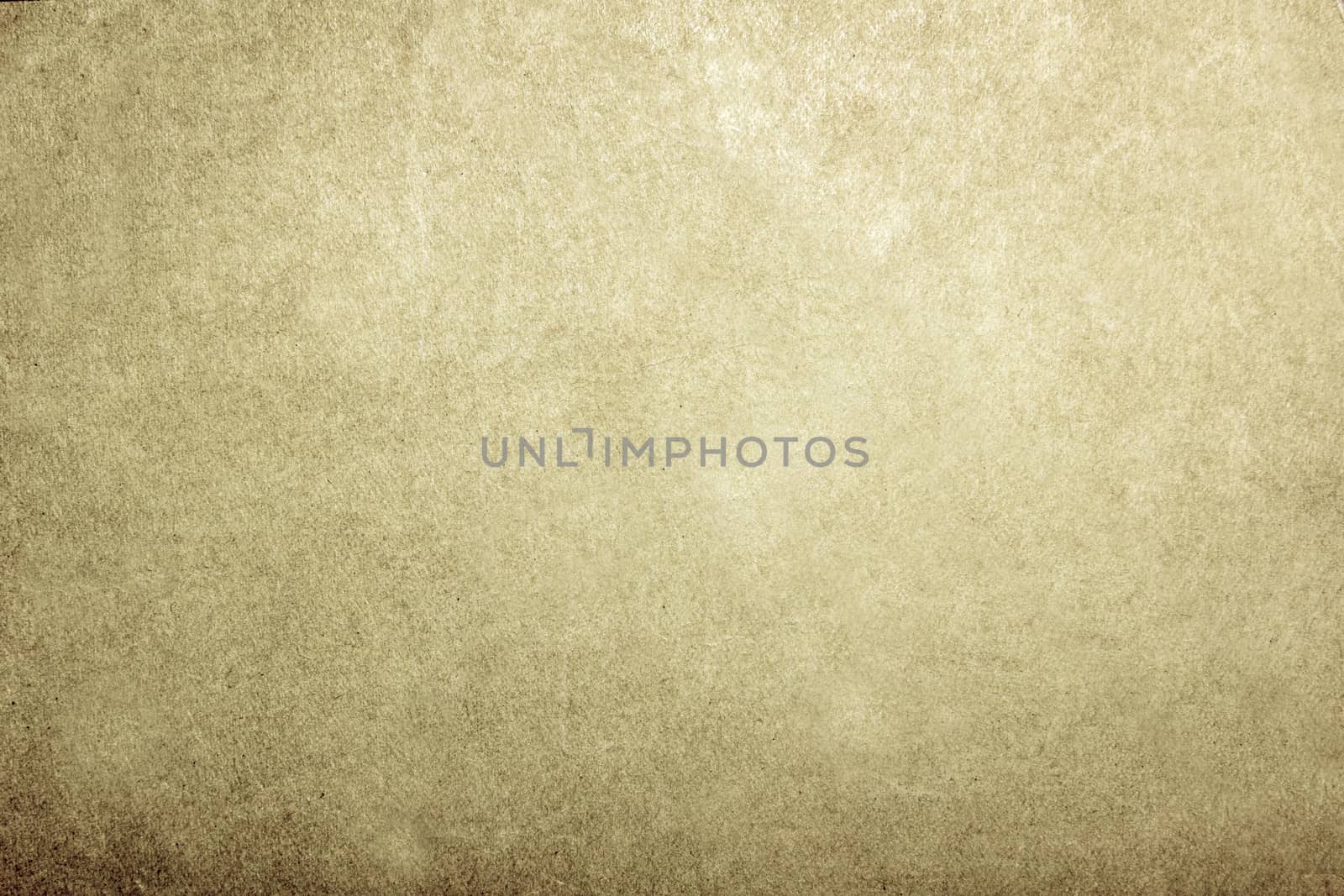 Time-aged parchment paper of grey-green color with a textured surface .Texture or background