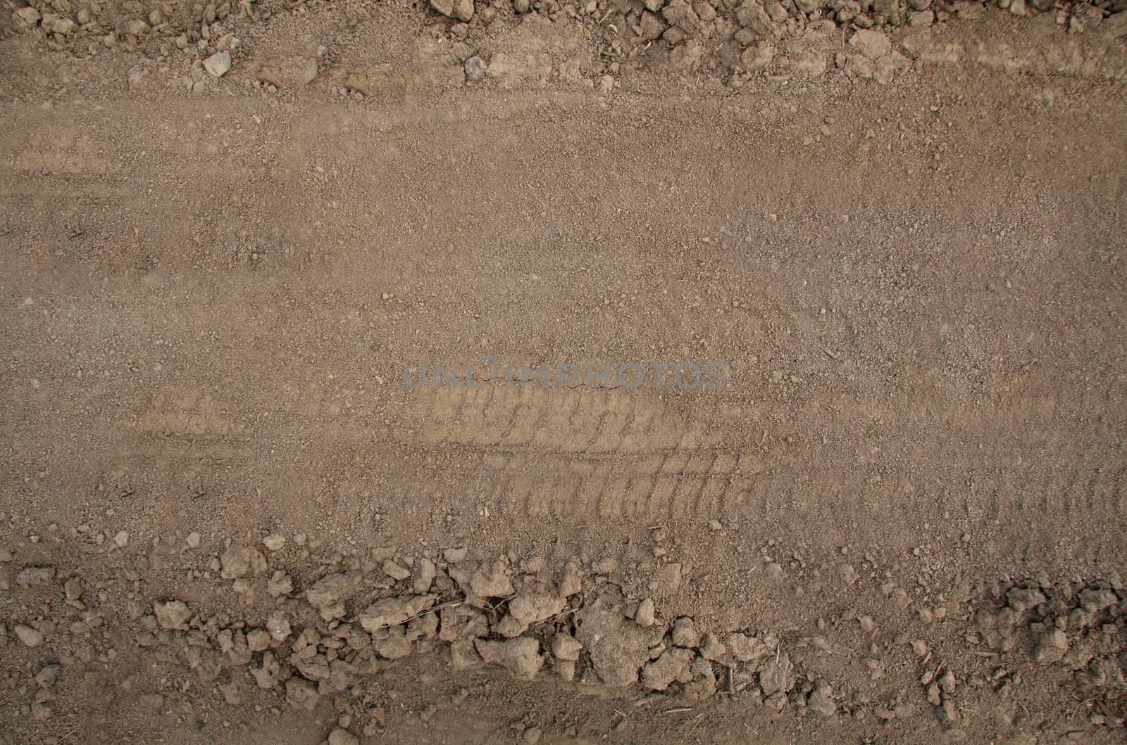 Tire tracks on dry sand.Texture or background