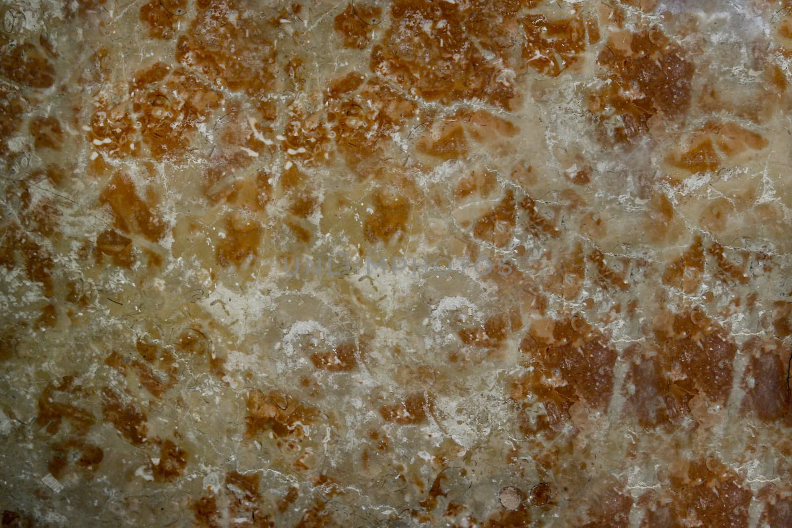 White patterned natural dark brown marble with texture for design. Abstract background.