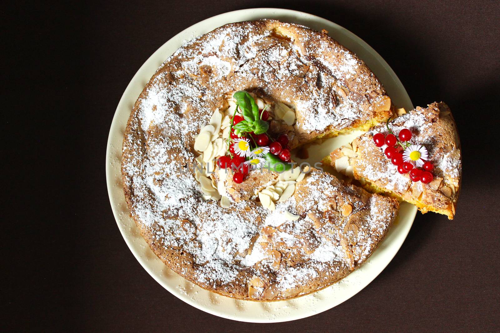 Charlotte with apples sprinkled with powdered sugar and nuts