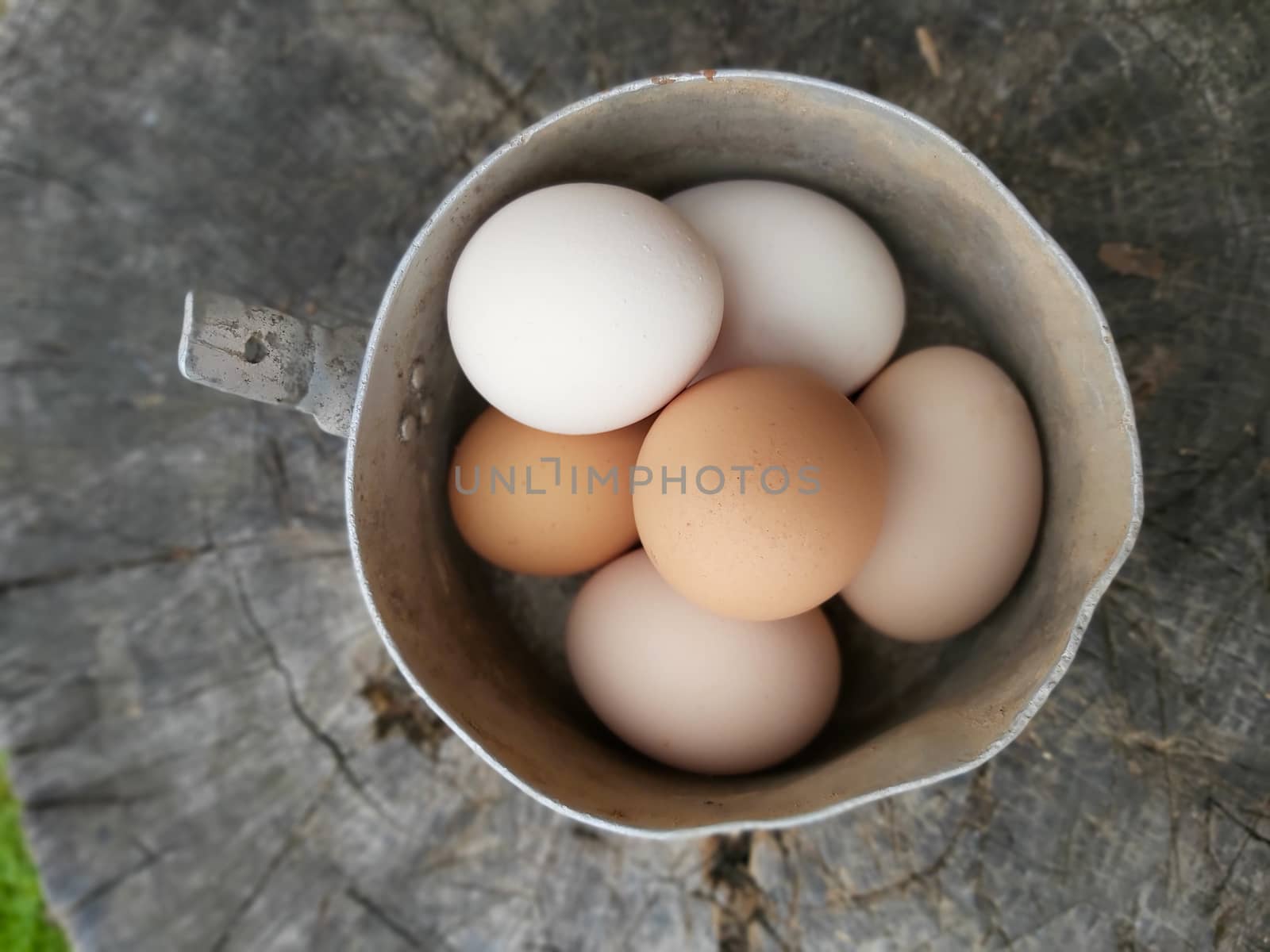 Village chicken eggs yellow and white lie in a pot .Texture or background