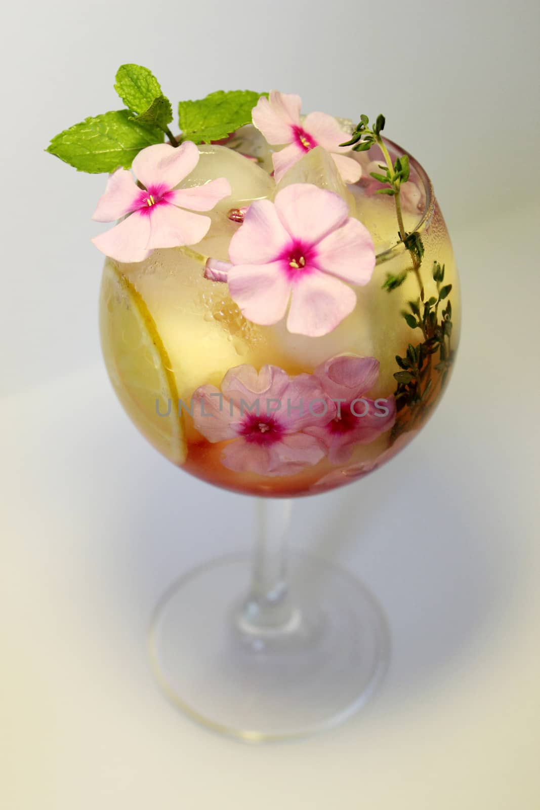 Summer chilled tea with ice cubes and decorated with a sprig of mint