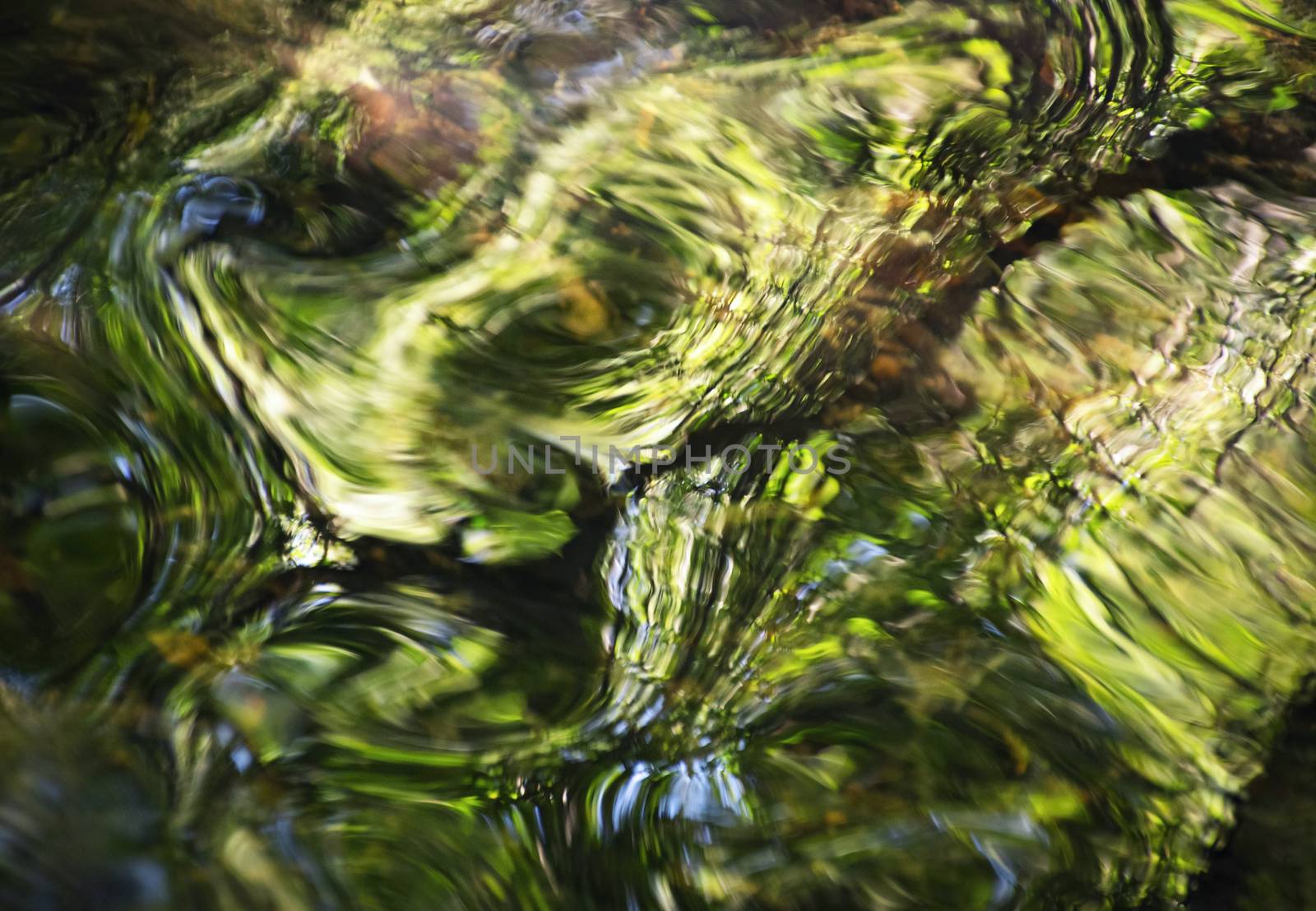 blurred green background of forest river by Ahojdoma