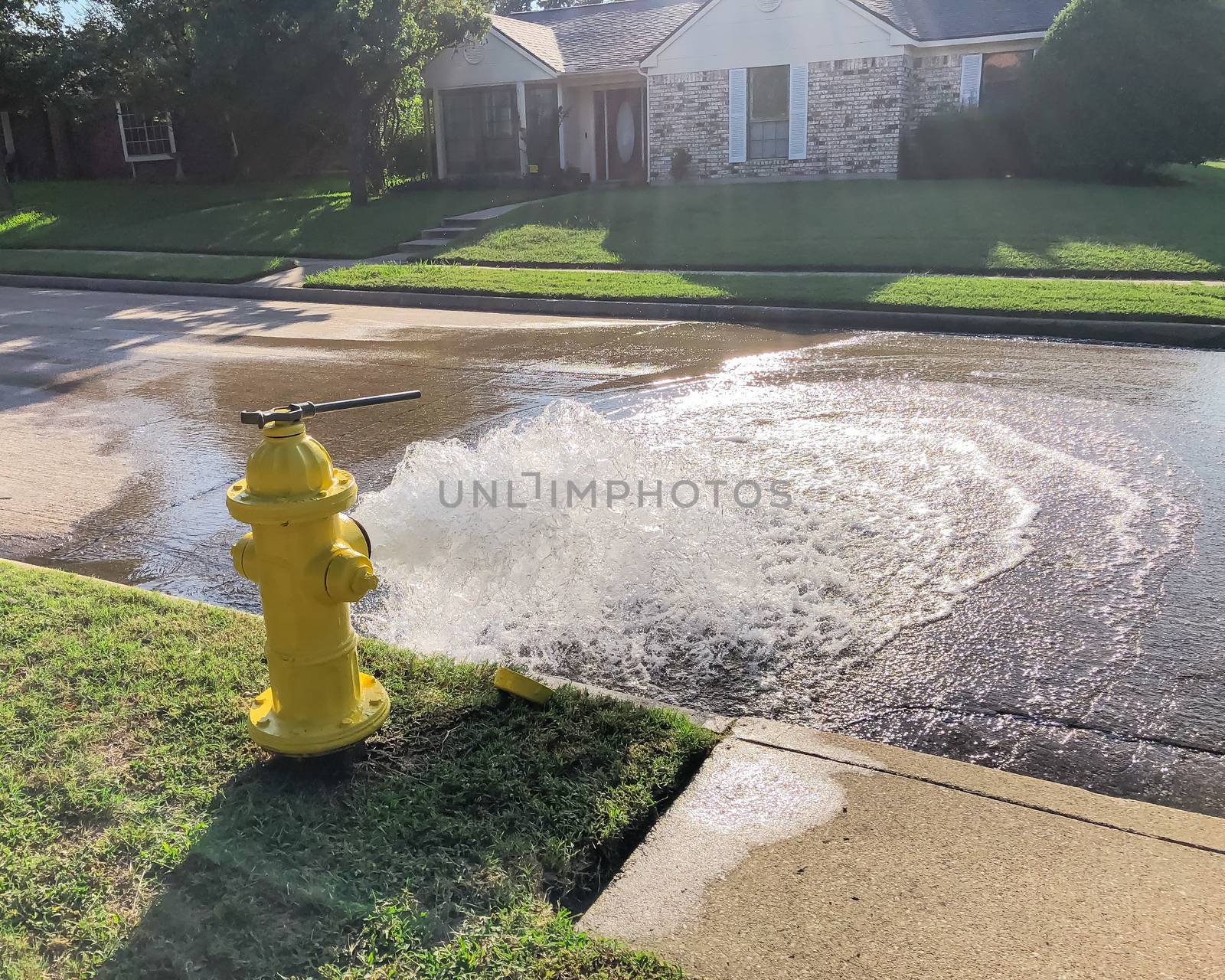 Opened yellow fire hydrant gushing water across a residential street near Dallas, Texas, America