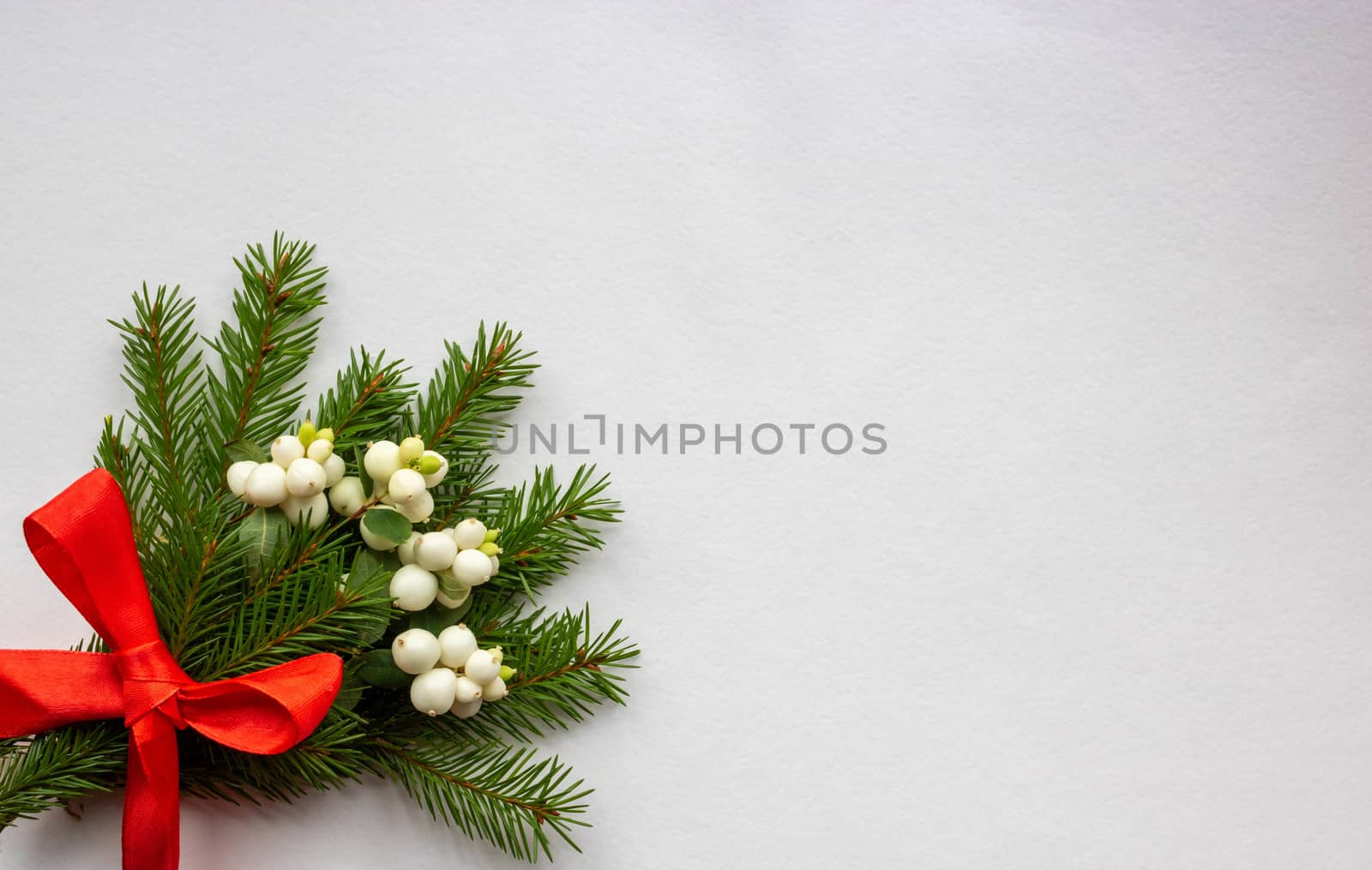 Christmas bouquet with fir branches, red bow and white dogwood berries on a white background . Christmas card. The theme of a winter holiday. Happy New Year.