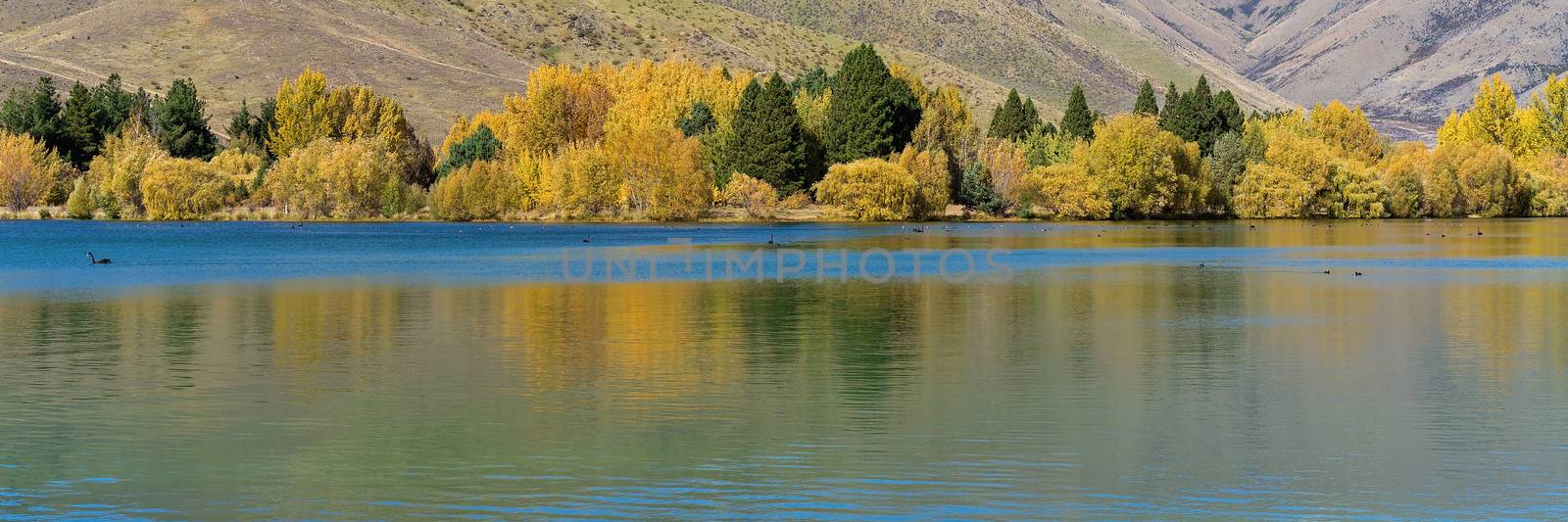 A scenic lake with yellow autumn foliage on the trees on the banks adding beautiful reflections to the calm water