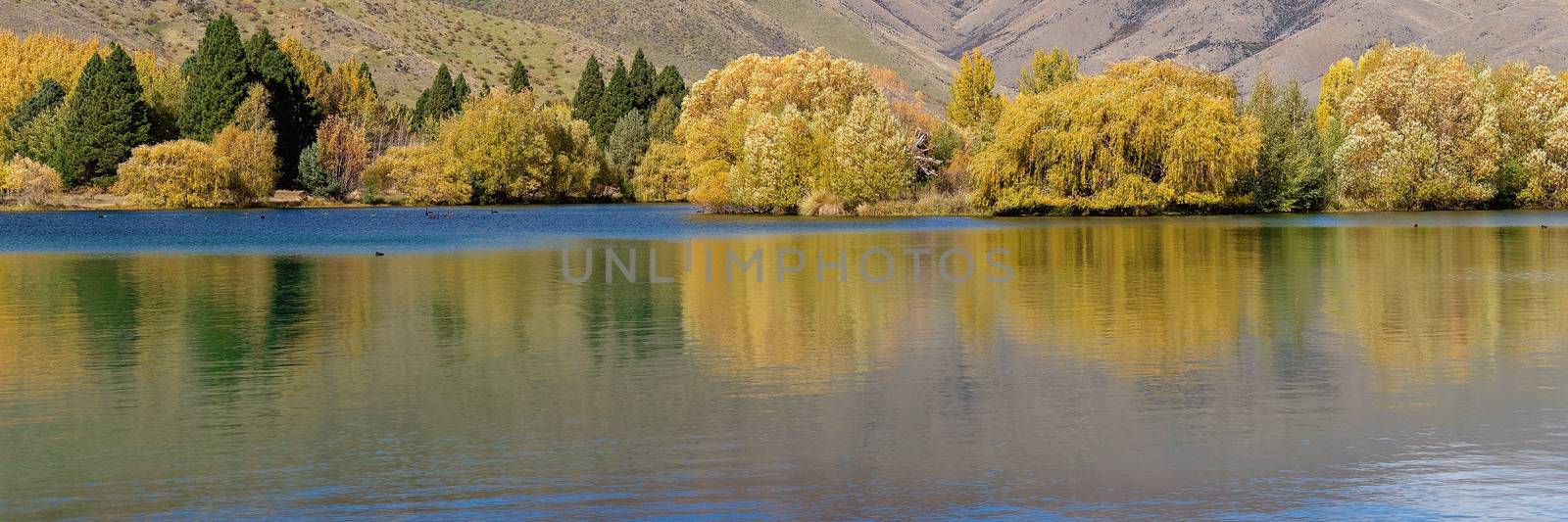 A scenic lake with yellow autumn foliage on the trees on the banks adding beautiful reflections to the calm water