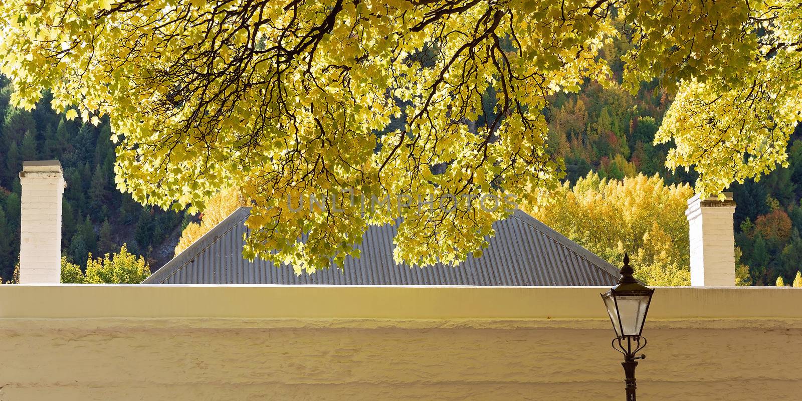 The Roofline Of An Historical Cottage Against Golden Autumn Foliage In Arrowtown, New Zealand by 	JacksonStock