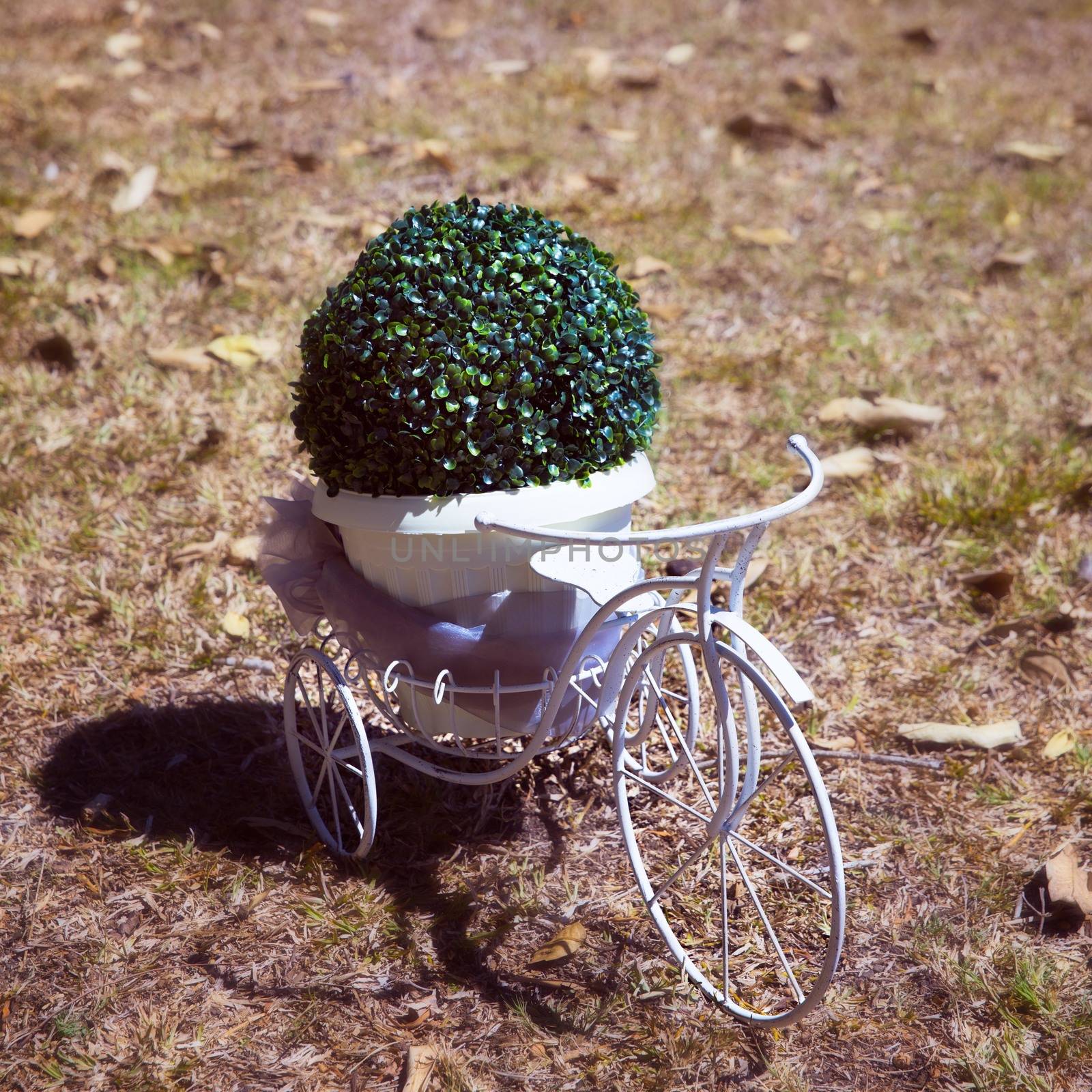 Outdoor Marriage Ceremony Decoration Detail