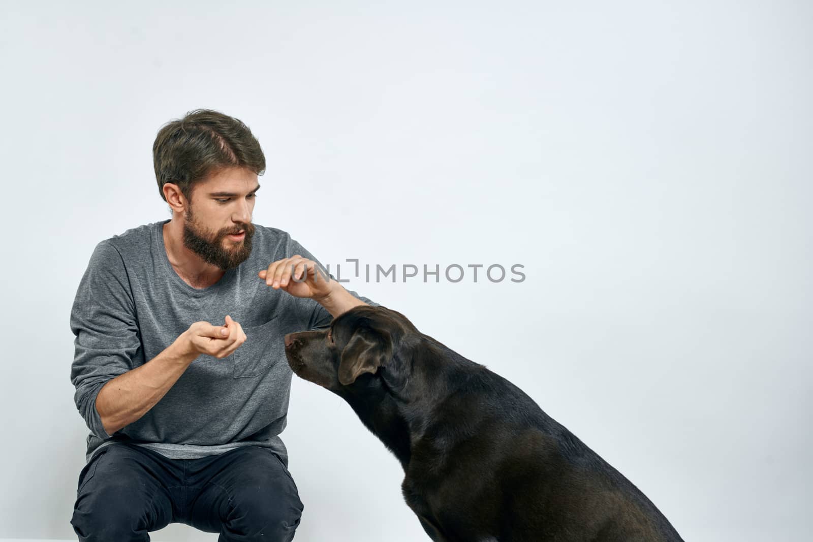 The man trains the dog indoors and gestures with his hands to execute the model's commands. High quality photo