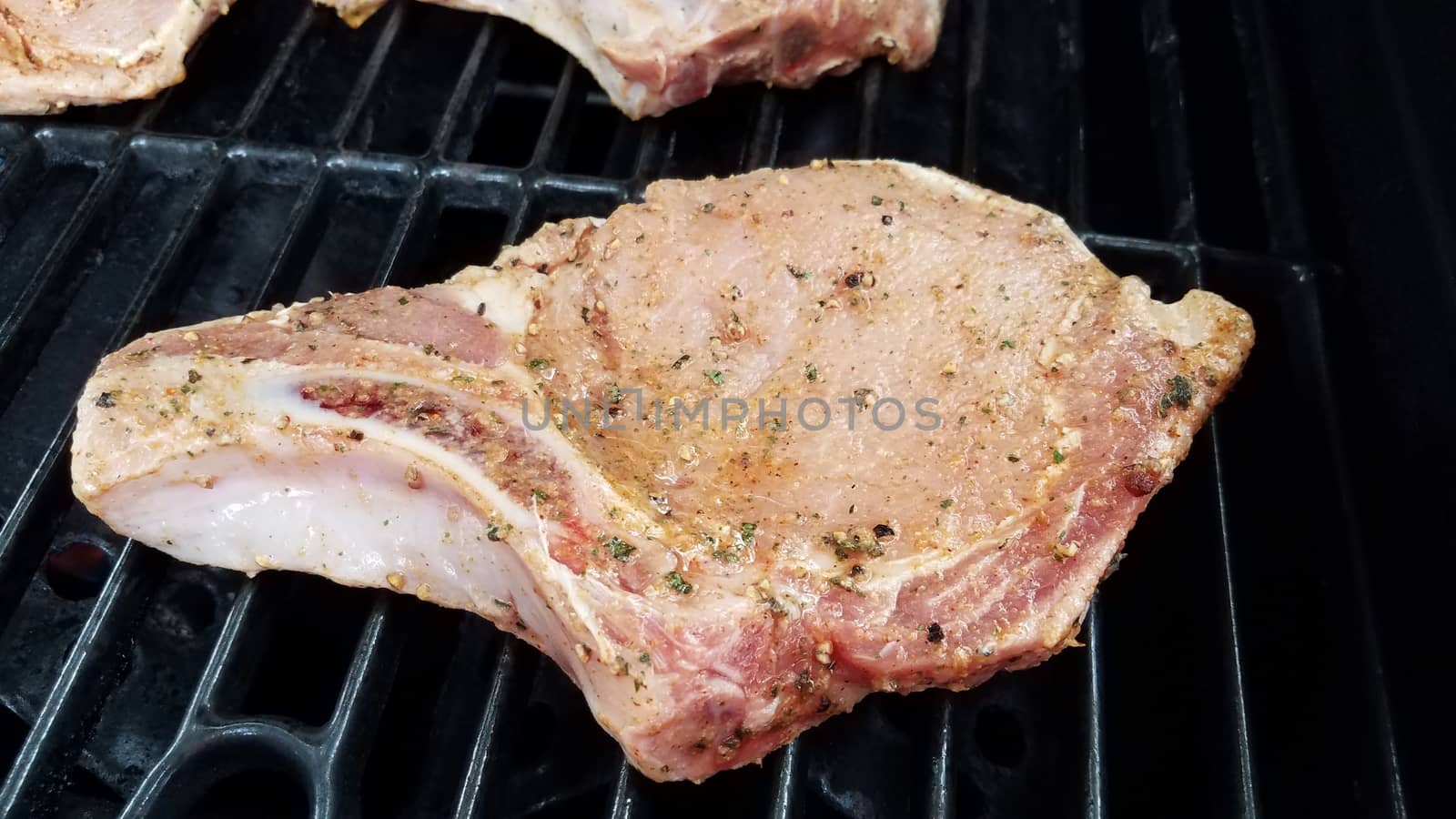 seasoned pork chop meat on barbecue grill by stockphotofan1