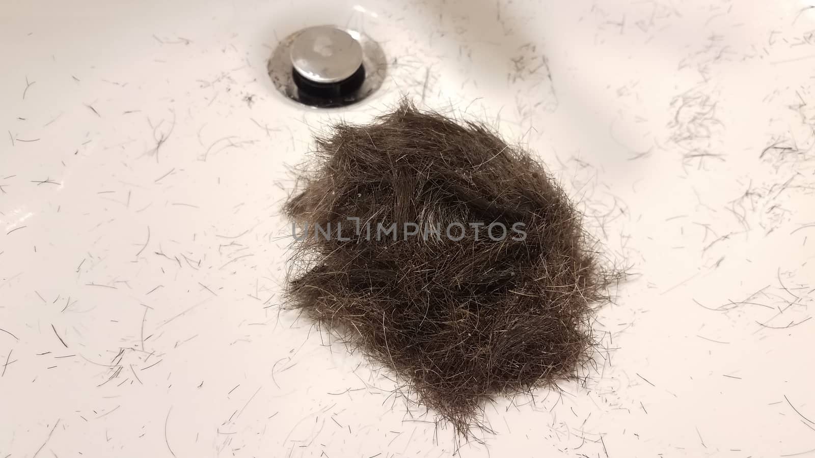 cut brown hair with dandruff in white bathroom sink with drain