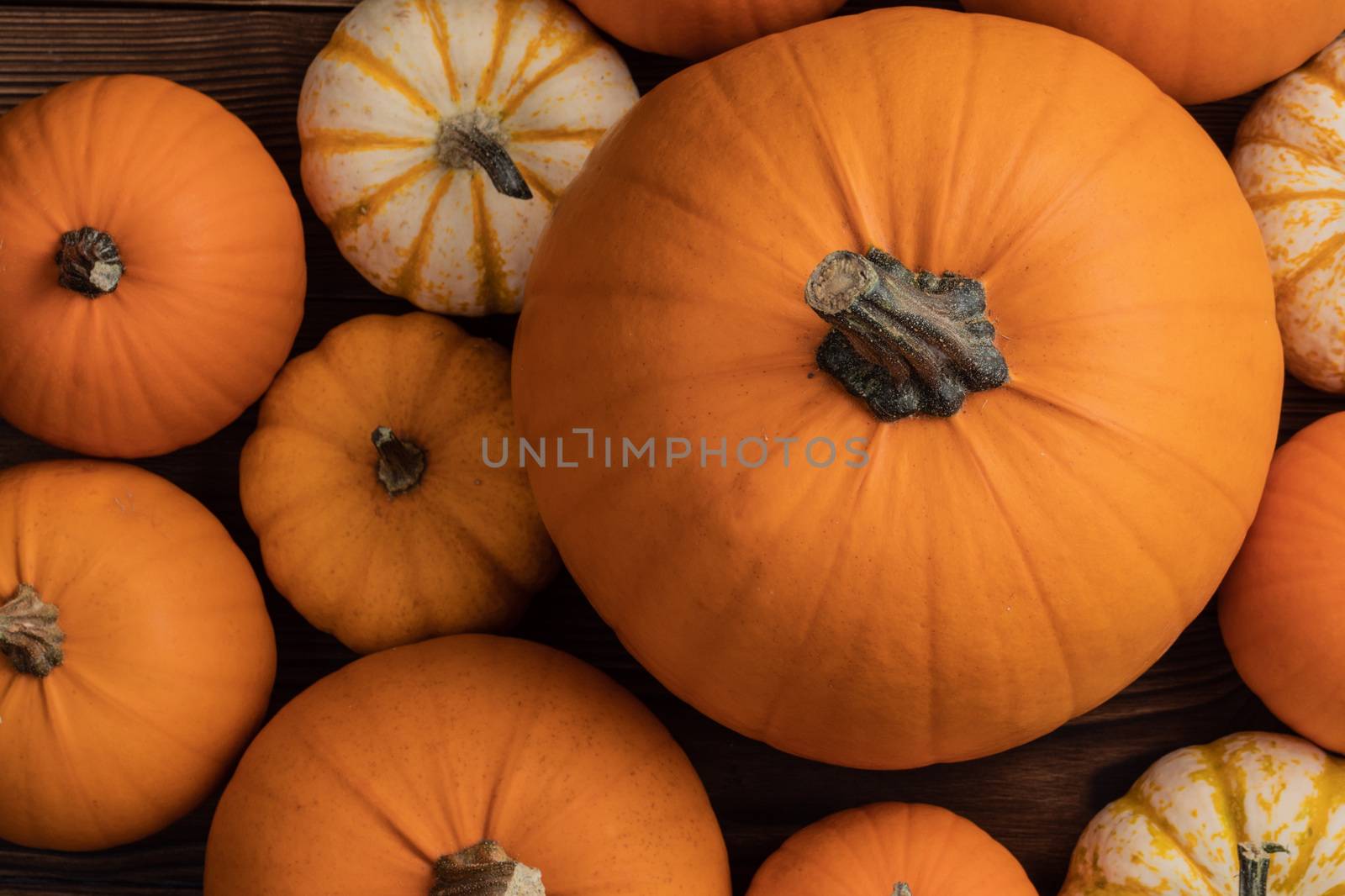 Assortiment of autumn harvested pumpkins in a heap background , Halloween holiday concept