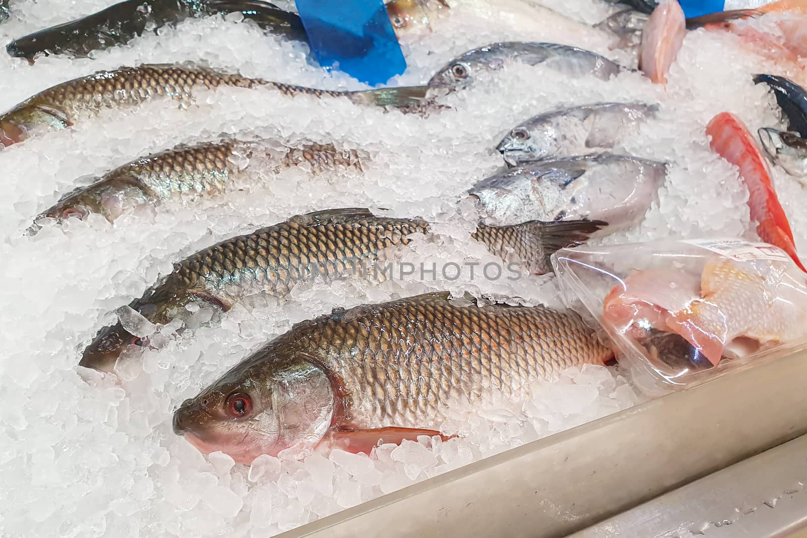 Fresh fish in ice tray the supermarket by sompongtom