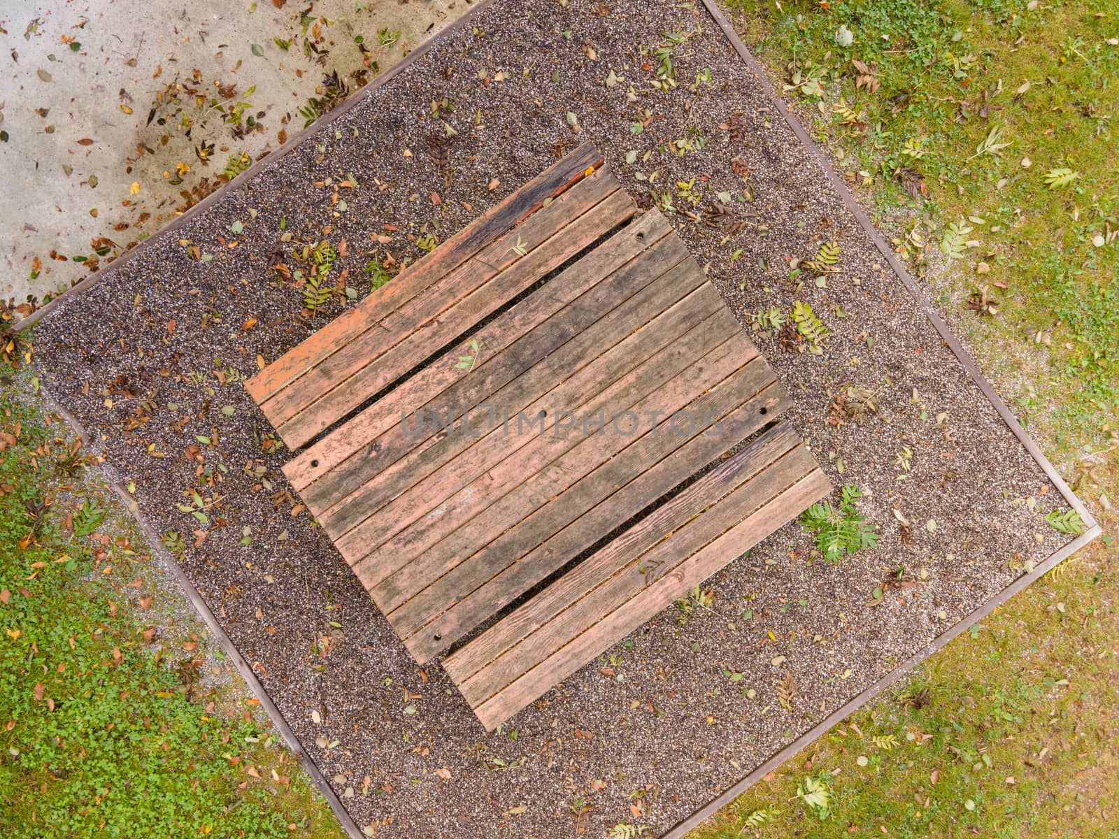 wood table top birds view. Copy space