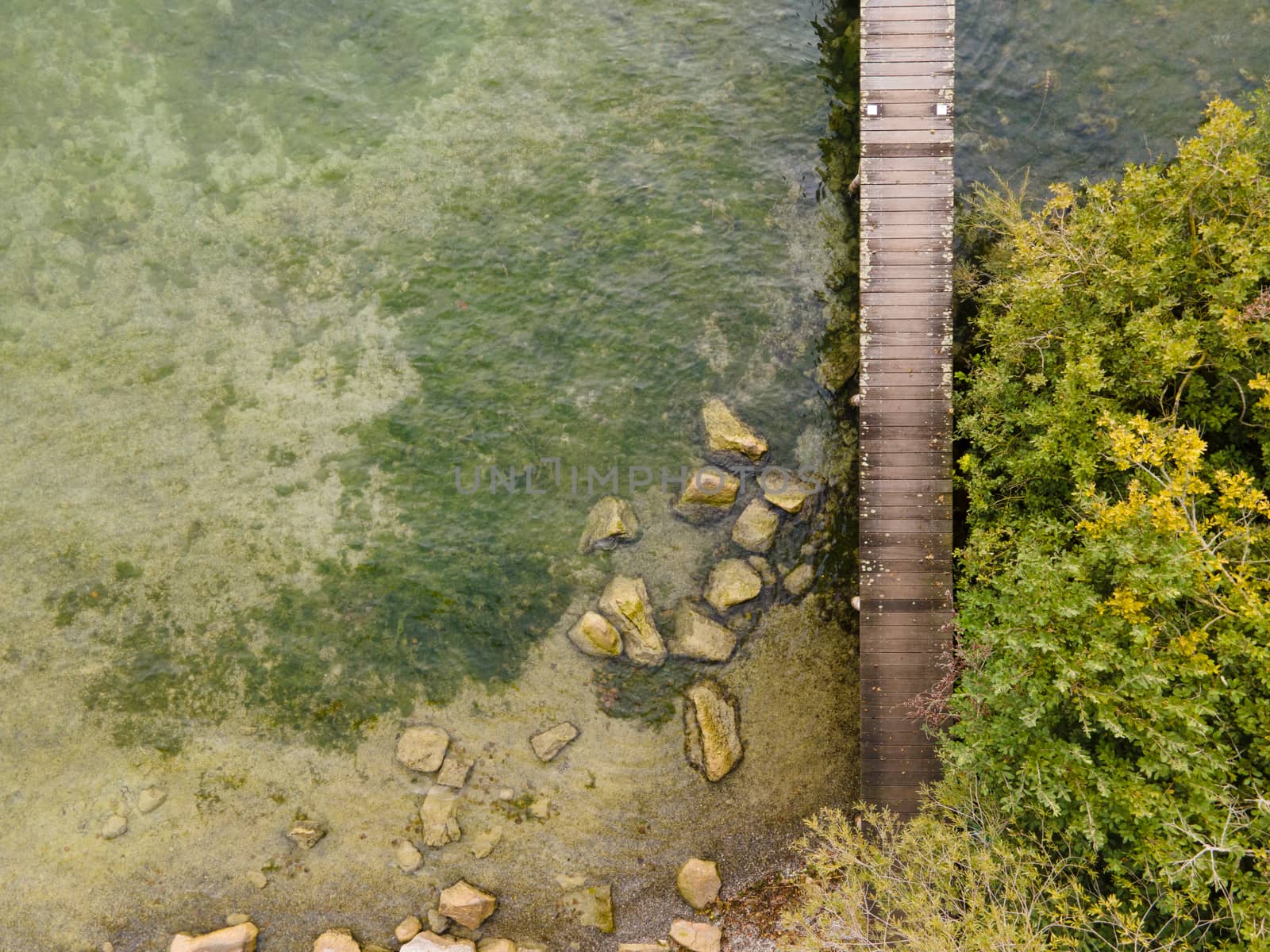 Pier with trees and clean lake. Copy space