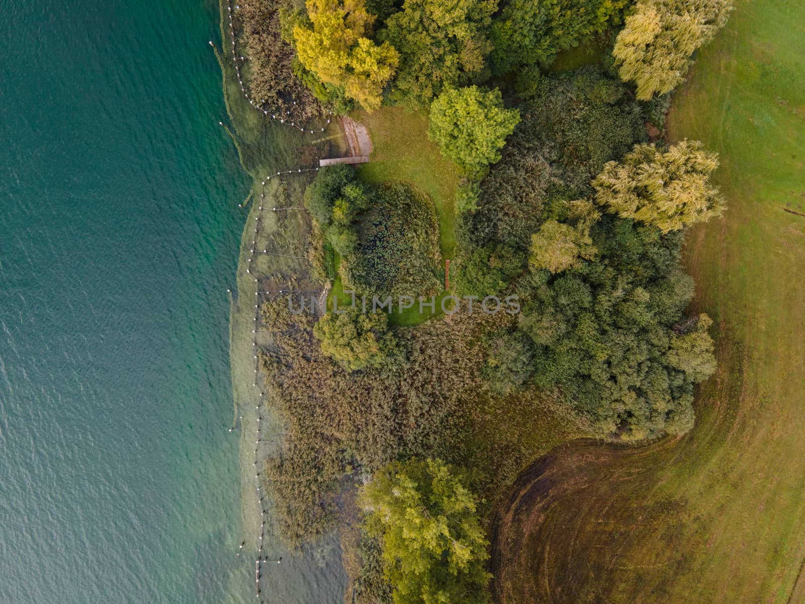 Drone shot of pasture near a lake. Copy space