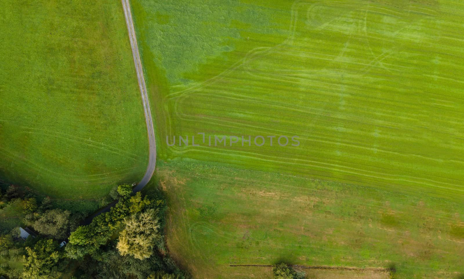 Drone shot of pasture near a lake. Copy space