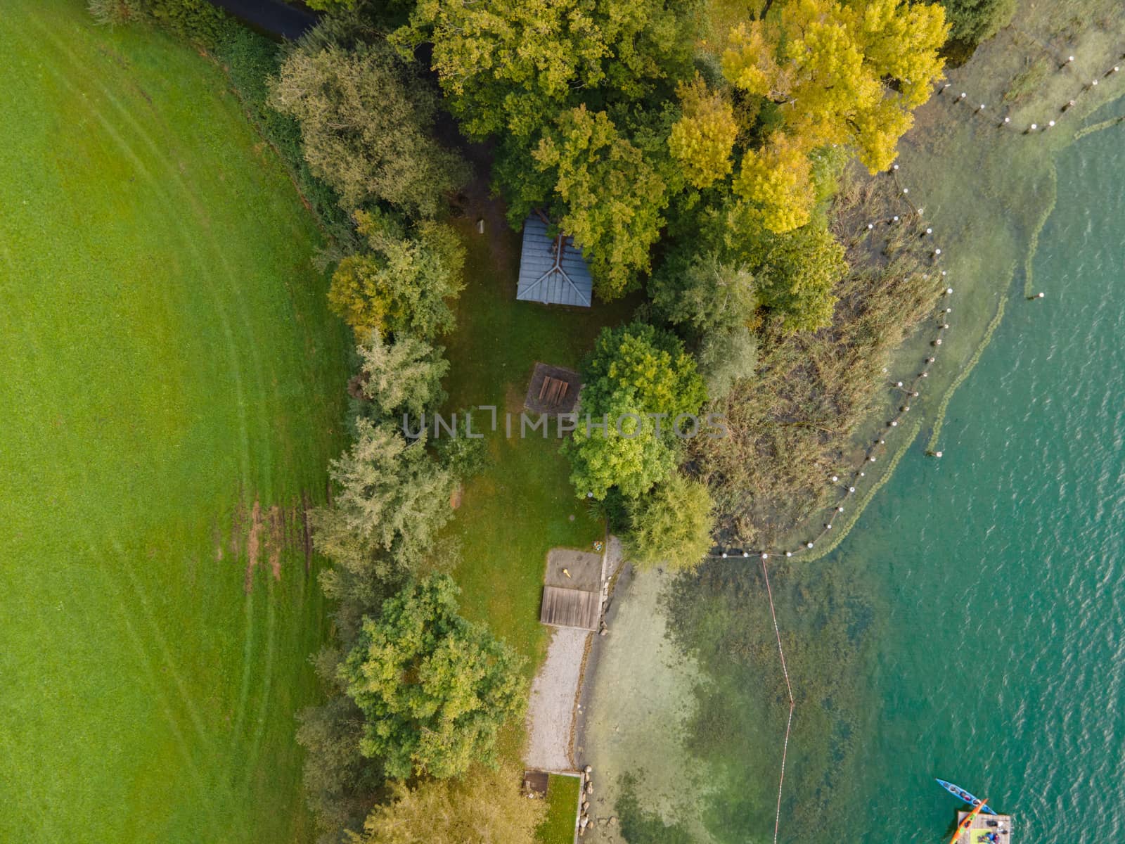 Drone shot of pasture near a lake. Copy space