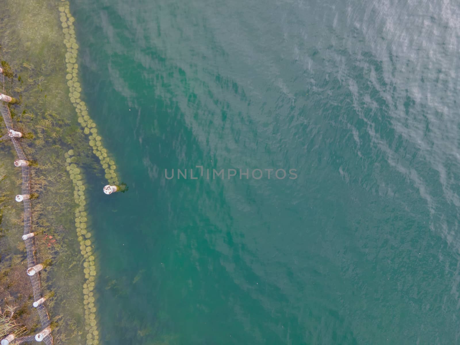 drone shot. Birds view of clear lake with trees and buildings