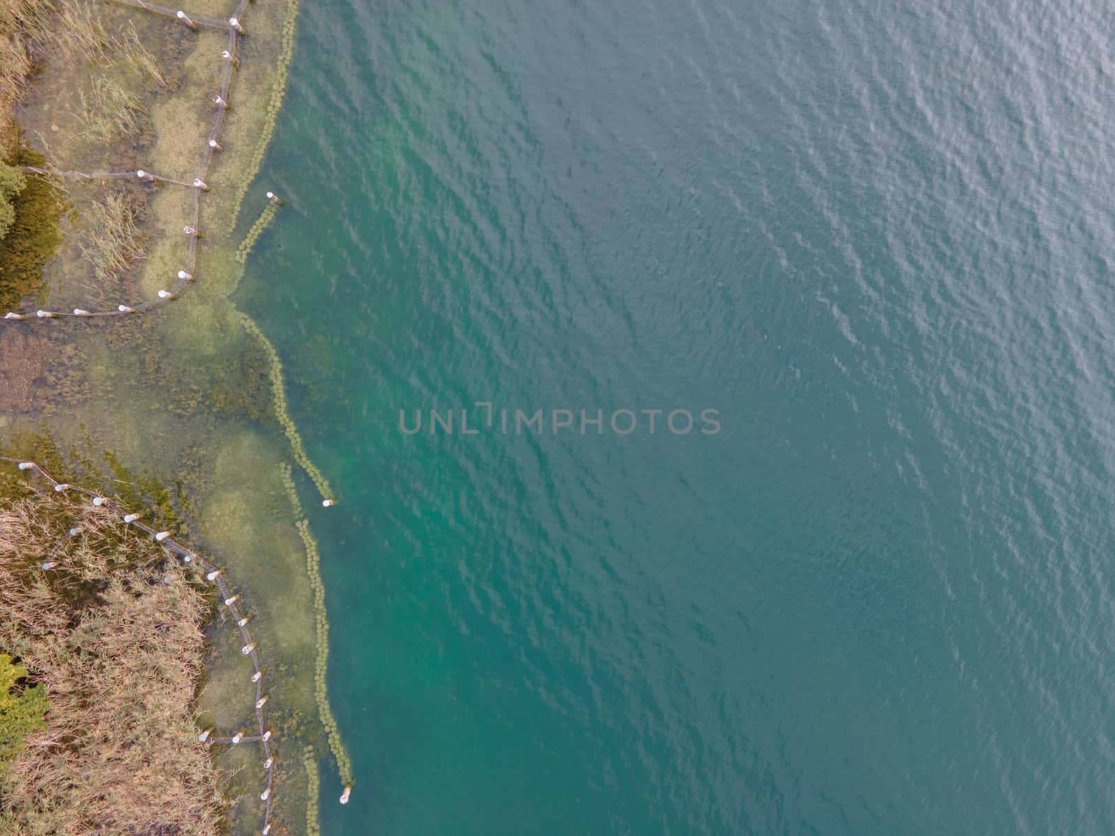 Drone shot over water. Background of lake. Birds view