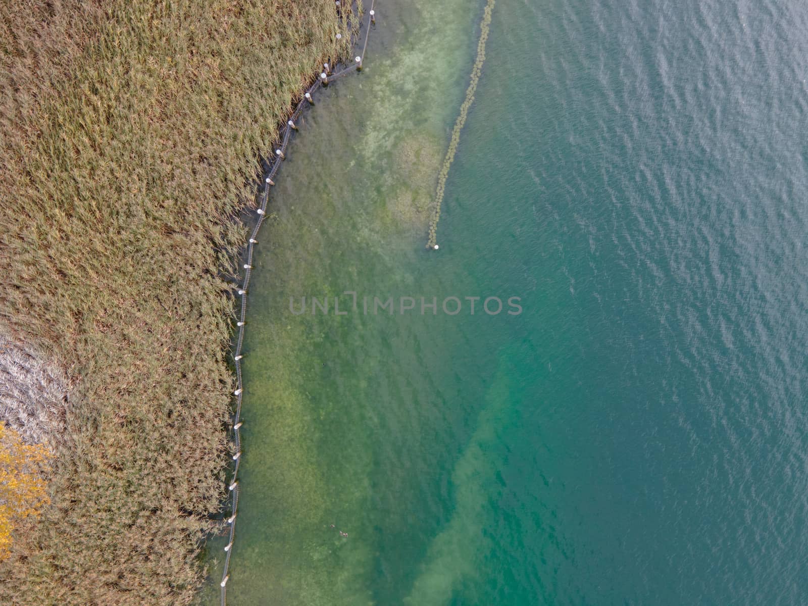 drone shot. Birds view of clear lake with trees and buildings