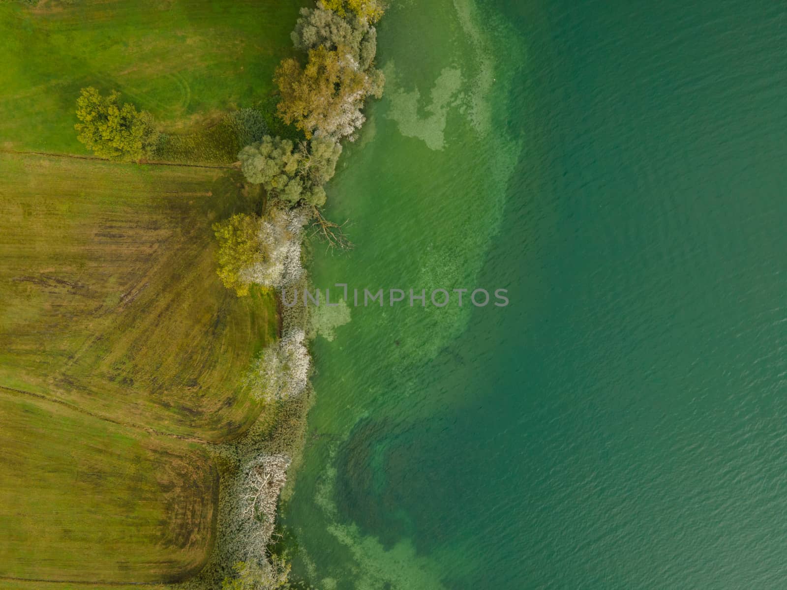 drone shot. Birds view of clear lake with trees and buildings