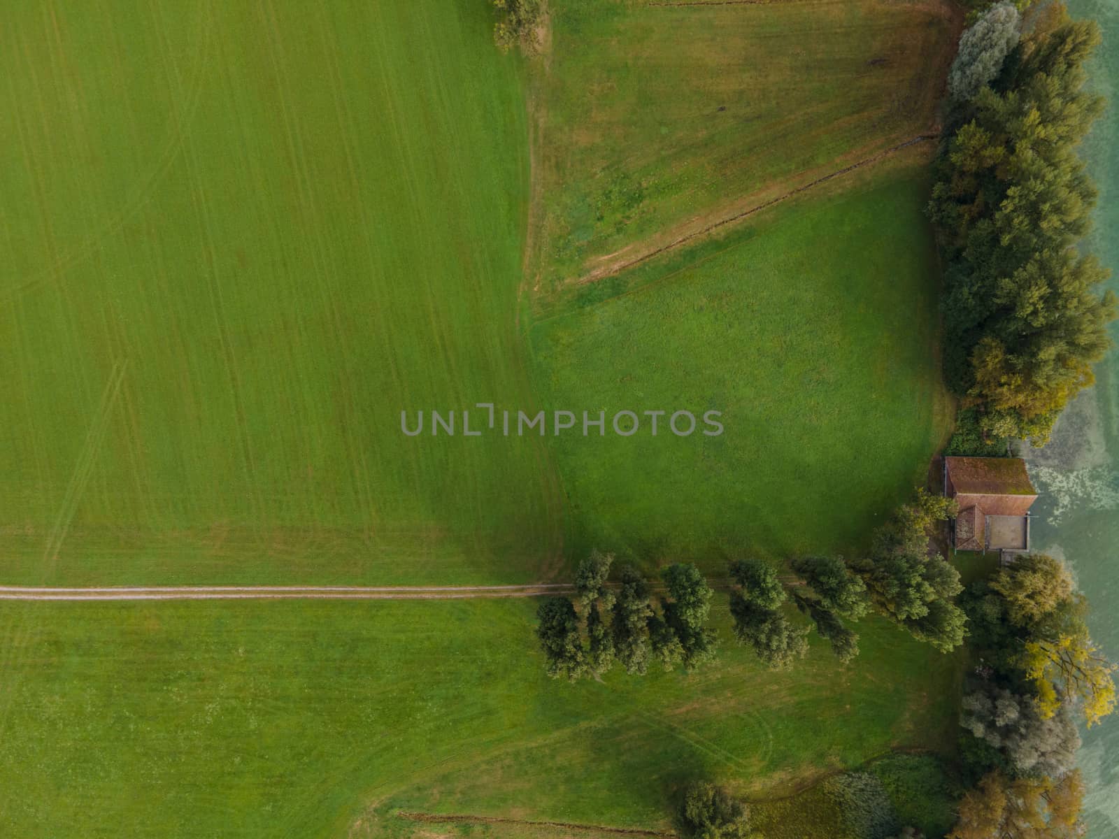 Drone shot of pasture near a lake. Copy space