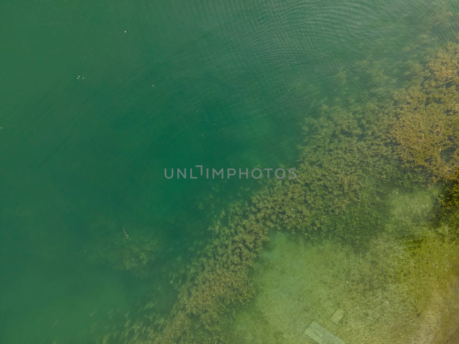 Drone shot over water. Background of lake. Birds view