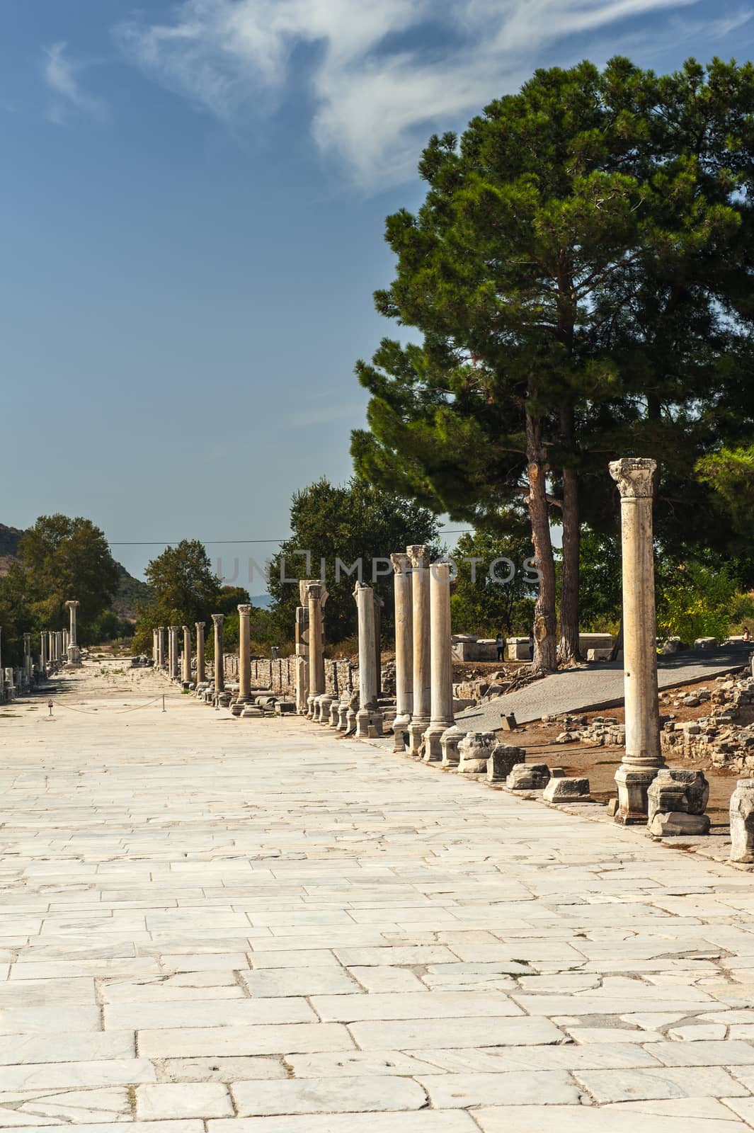 Row of Columns in the ruins of ancient Greek city of Ephesus