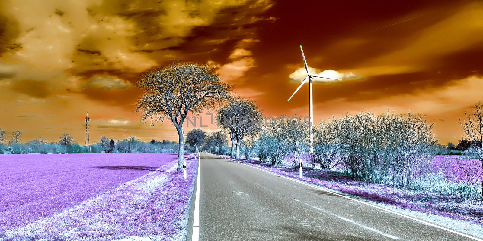 Beautiful purple infrared landscape in high resolution by MP_foto71