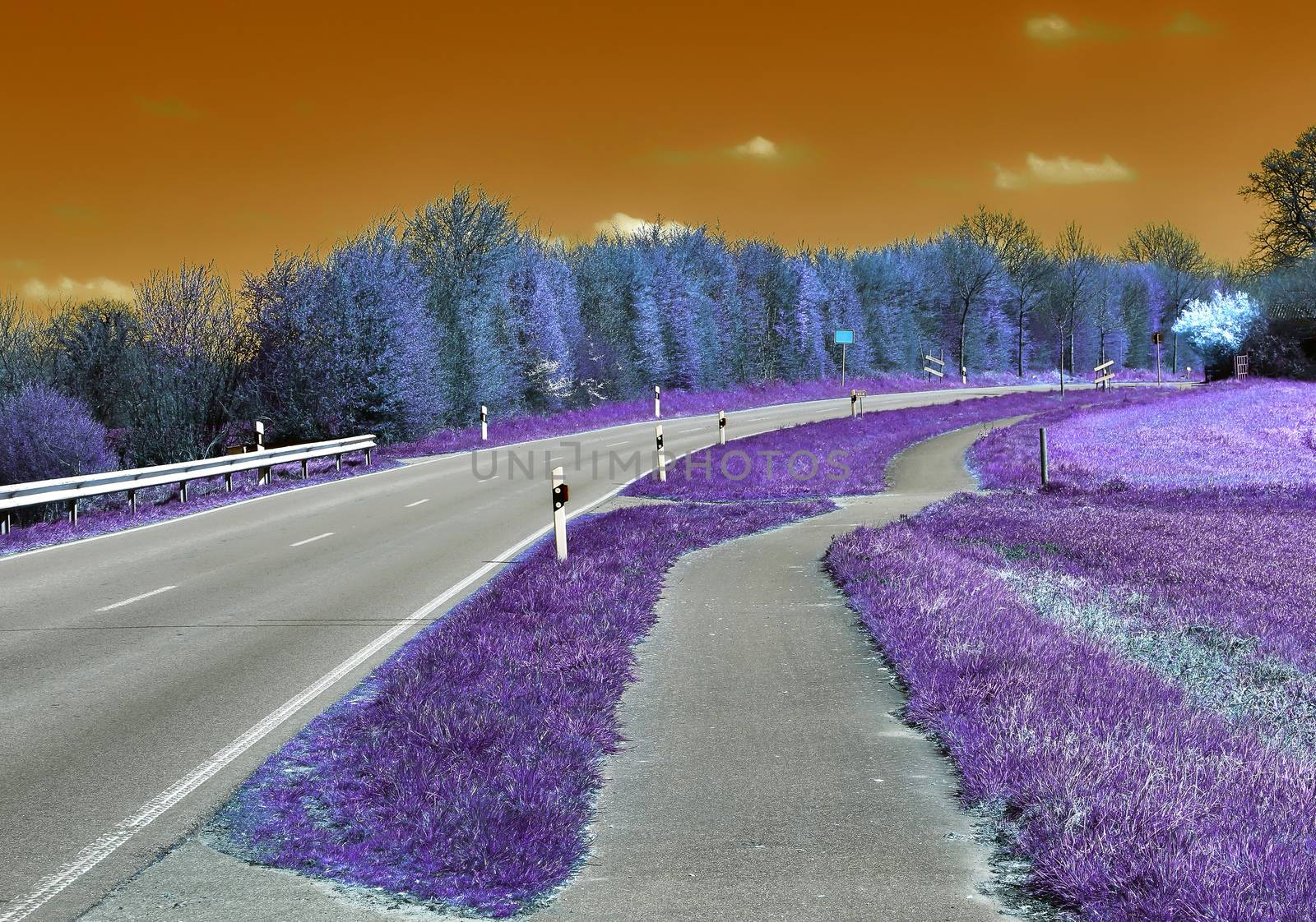 Beautiful purple infrared landscape with a magical look in high resolution