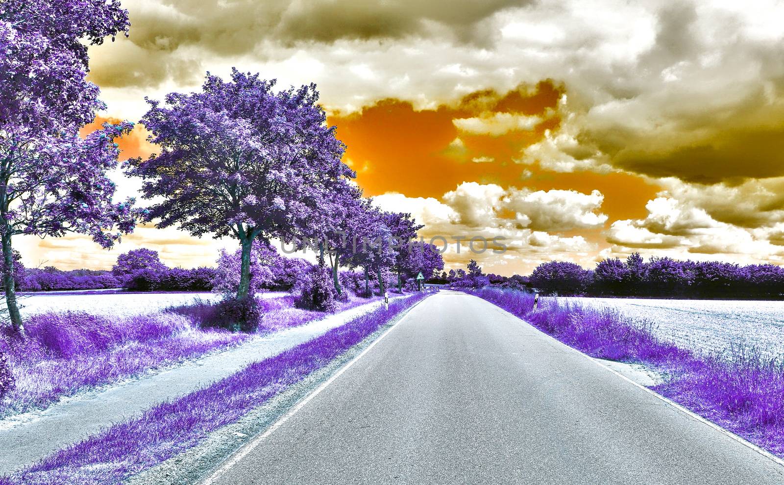 Beautiful purple infrared landscape in high resolution by MP_foto71