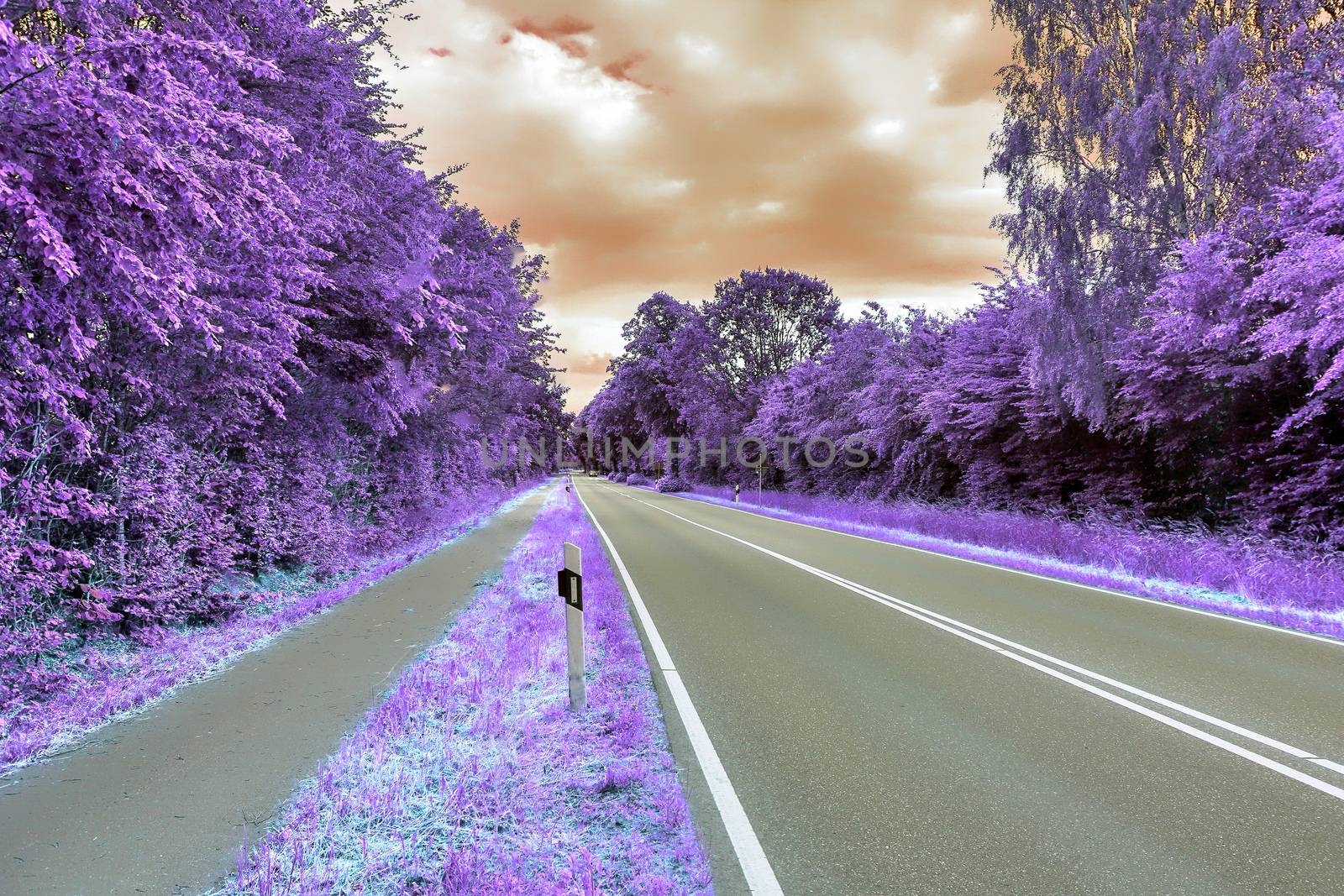 Beautiful purple infrared landscape in high resolution by MP_foto71