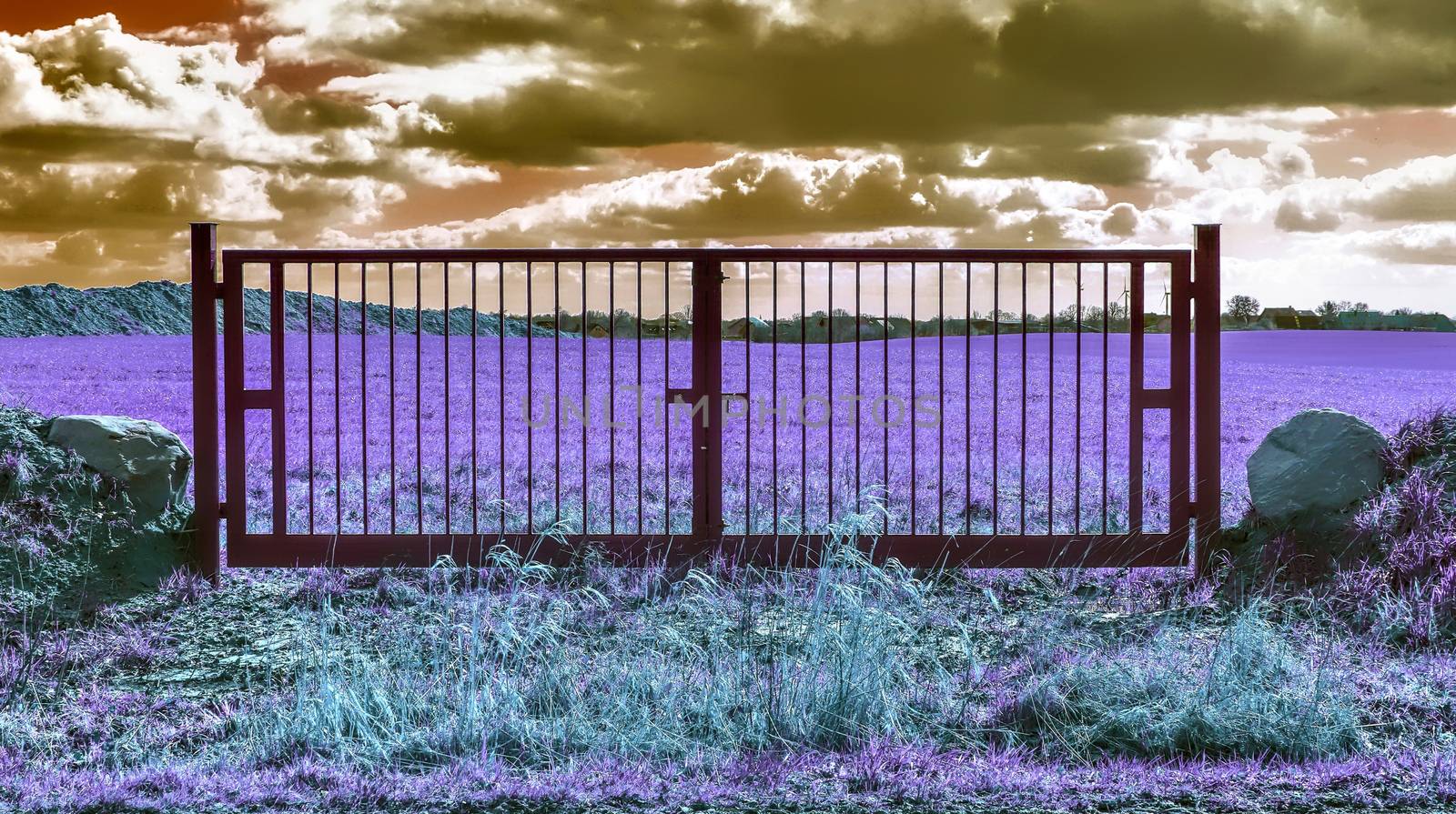 Beautiful purple infrared landscape with a magical look in high resolution