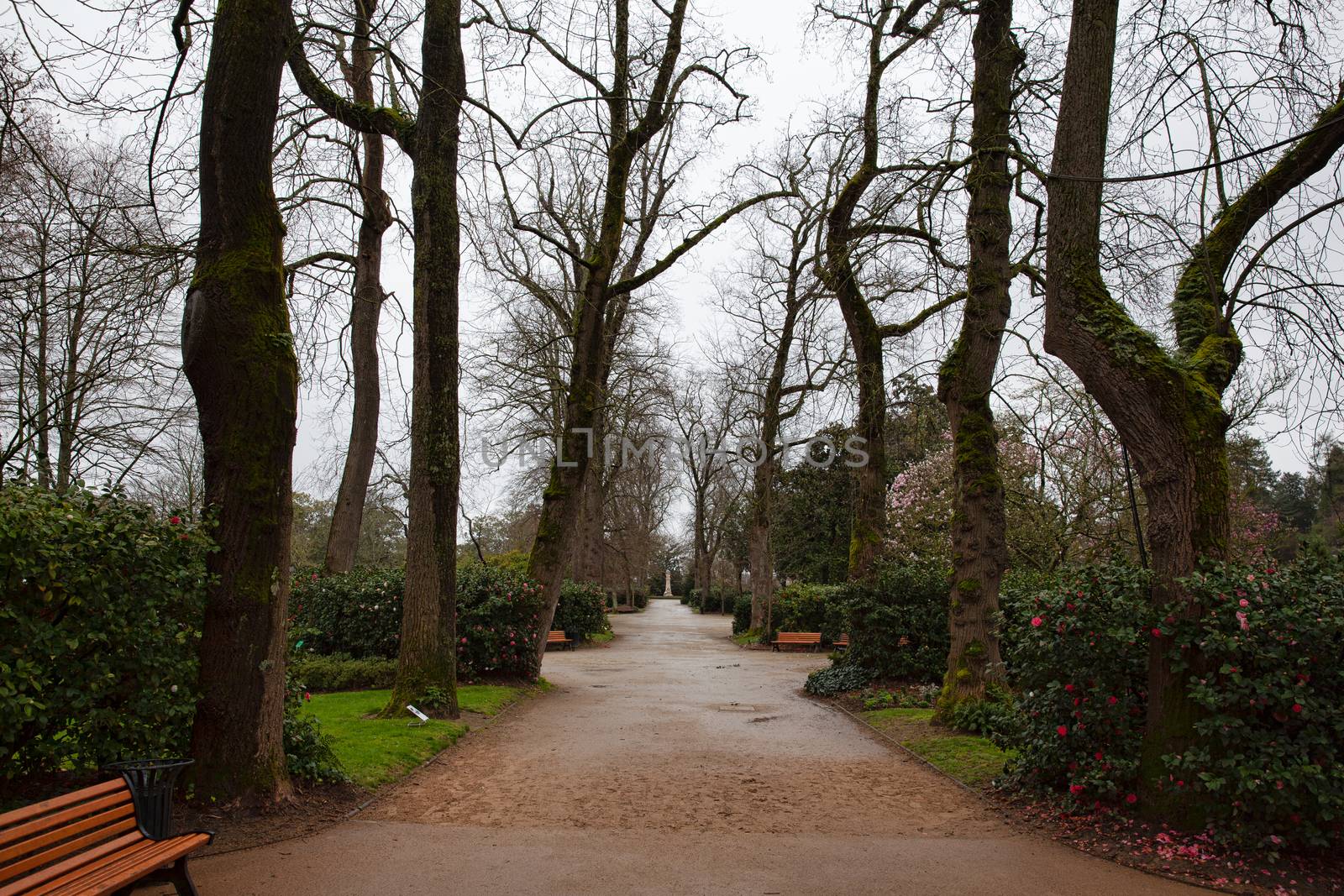Nantes, France: 22 February 2020: Botanic garden of Nantes in winter