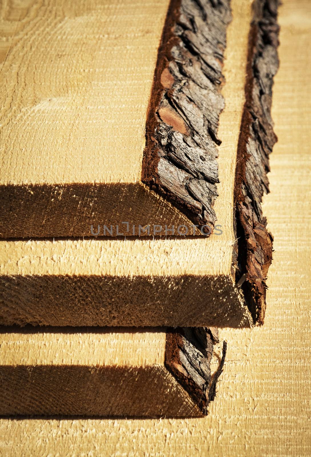 raw unprocessed spruce boards by Ahojdoma