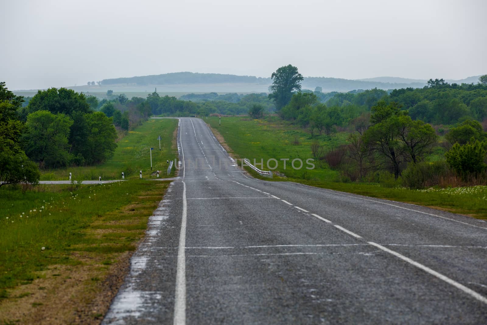 Asphalt road receding into the distance among green fields.